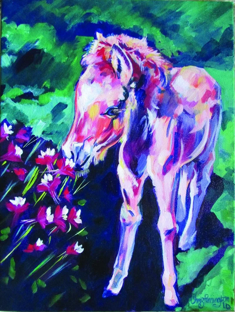"Smelling the Flowers" portrait of Julia's 2 month old colt, Uller. She captured his essence perfectly!