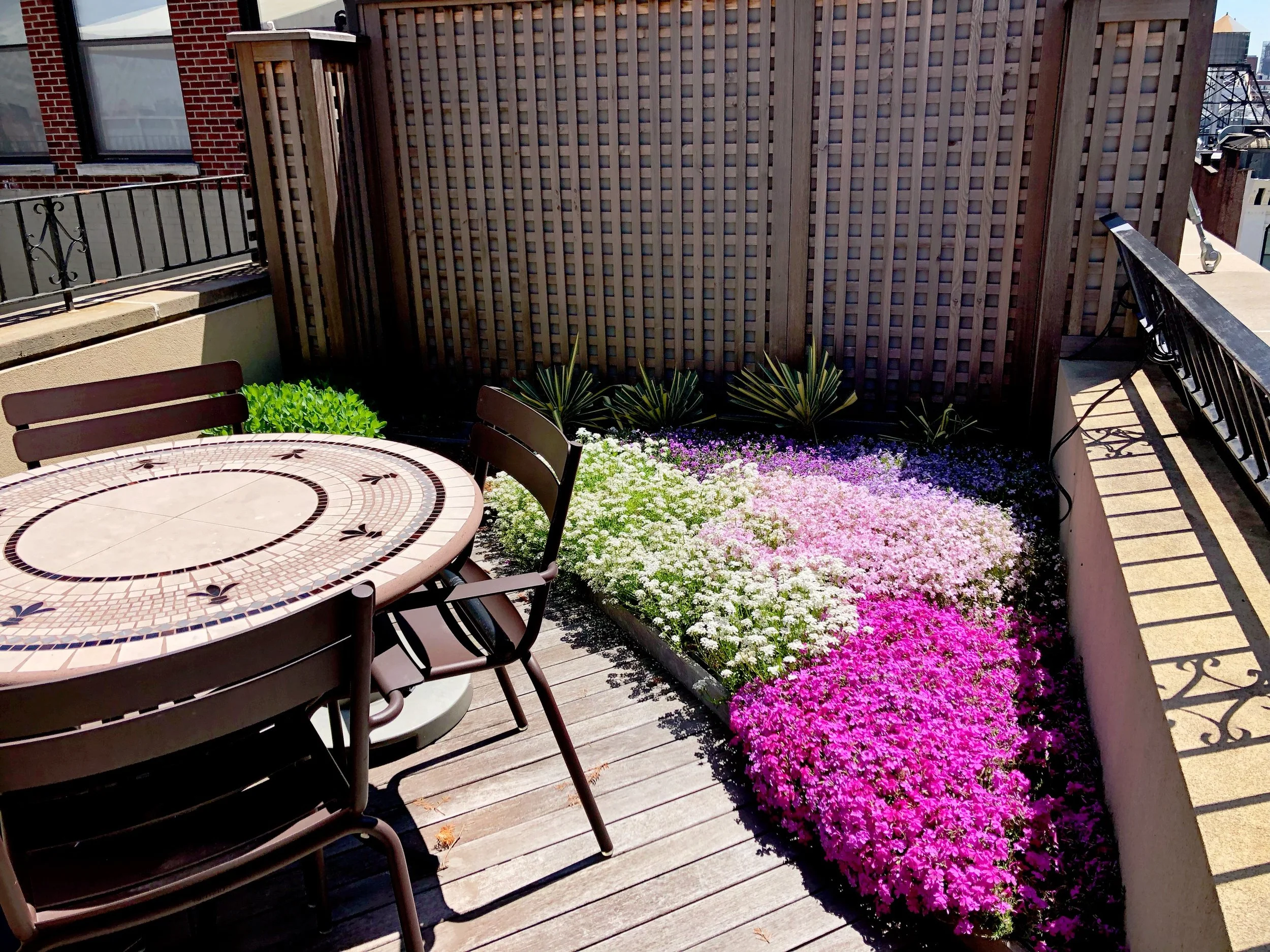 AfterlightImage 3.JPG