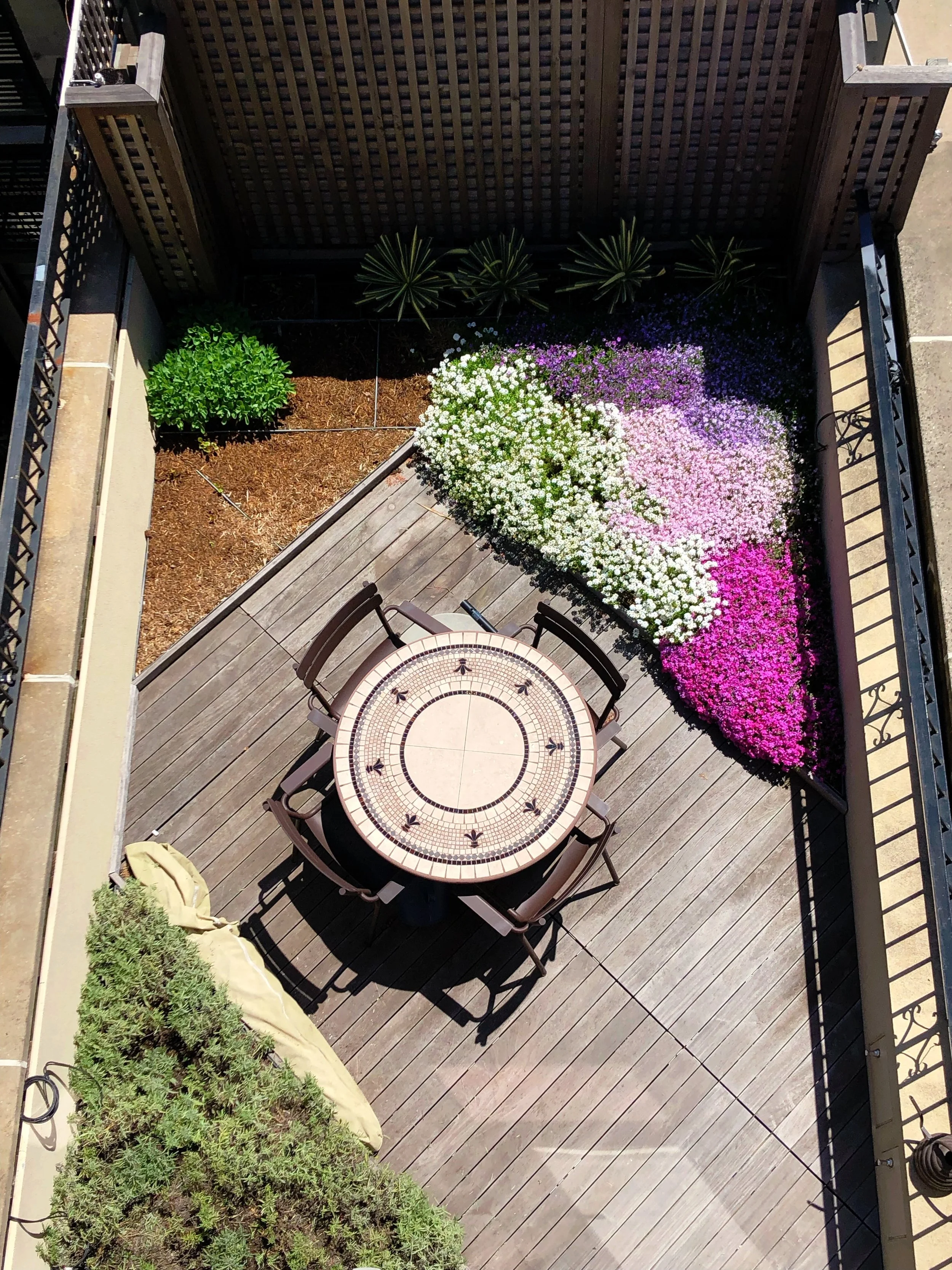 AfterlightImage 4.JPG