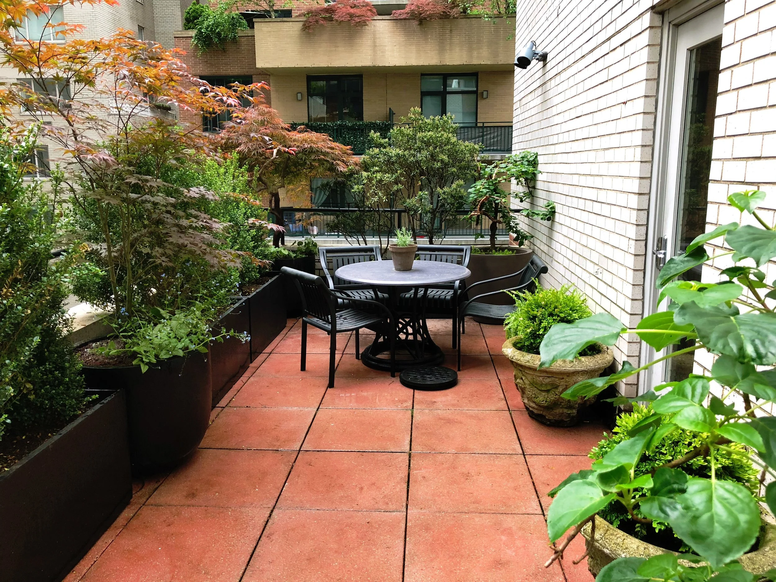 AfterlightImage 7.JPG