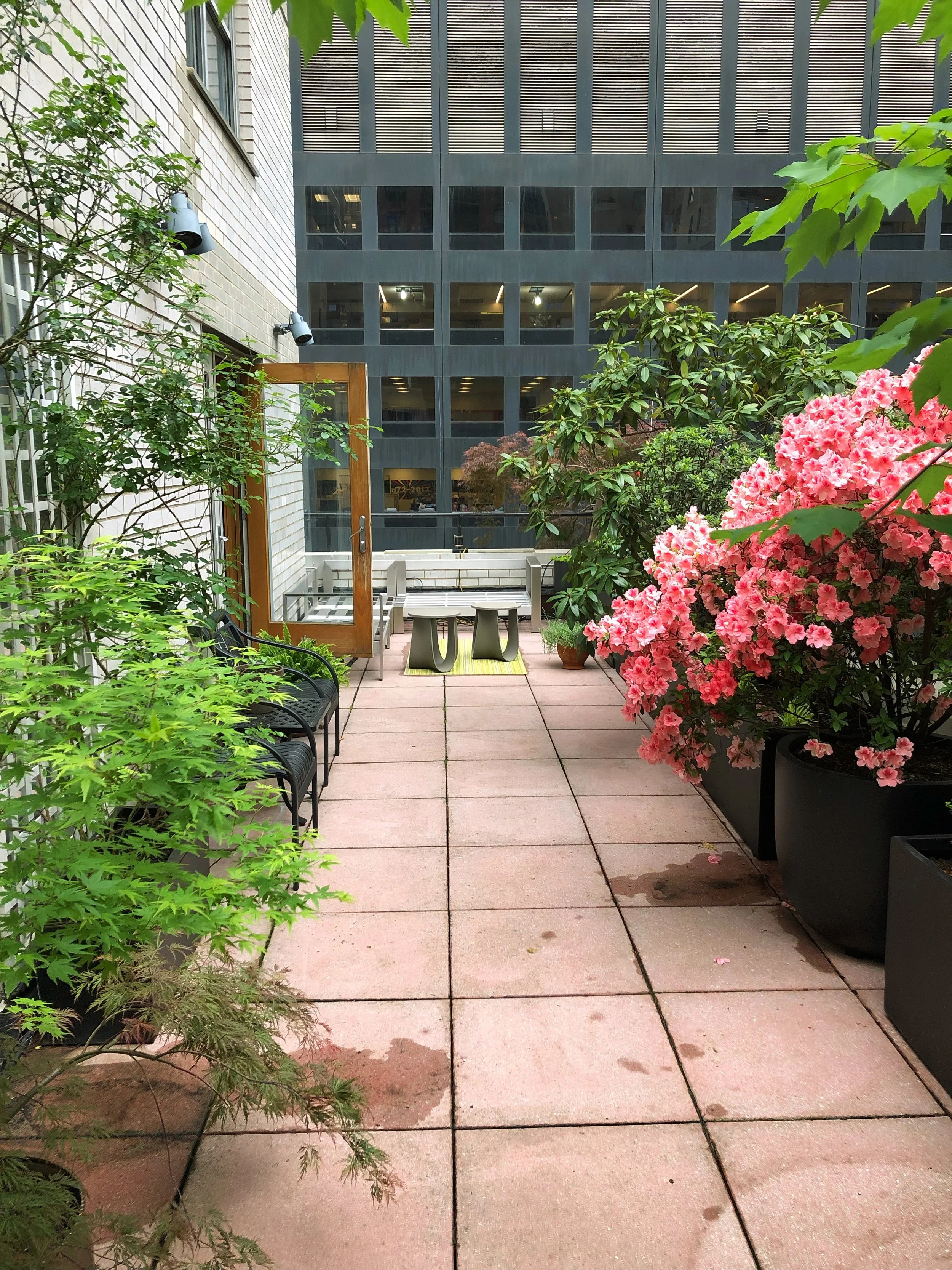 AfterlightImage 5.JPG