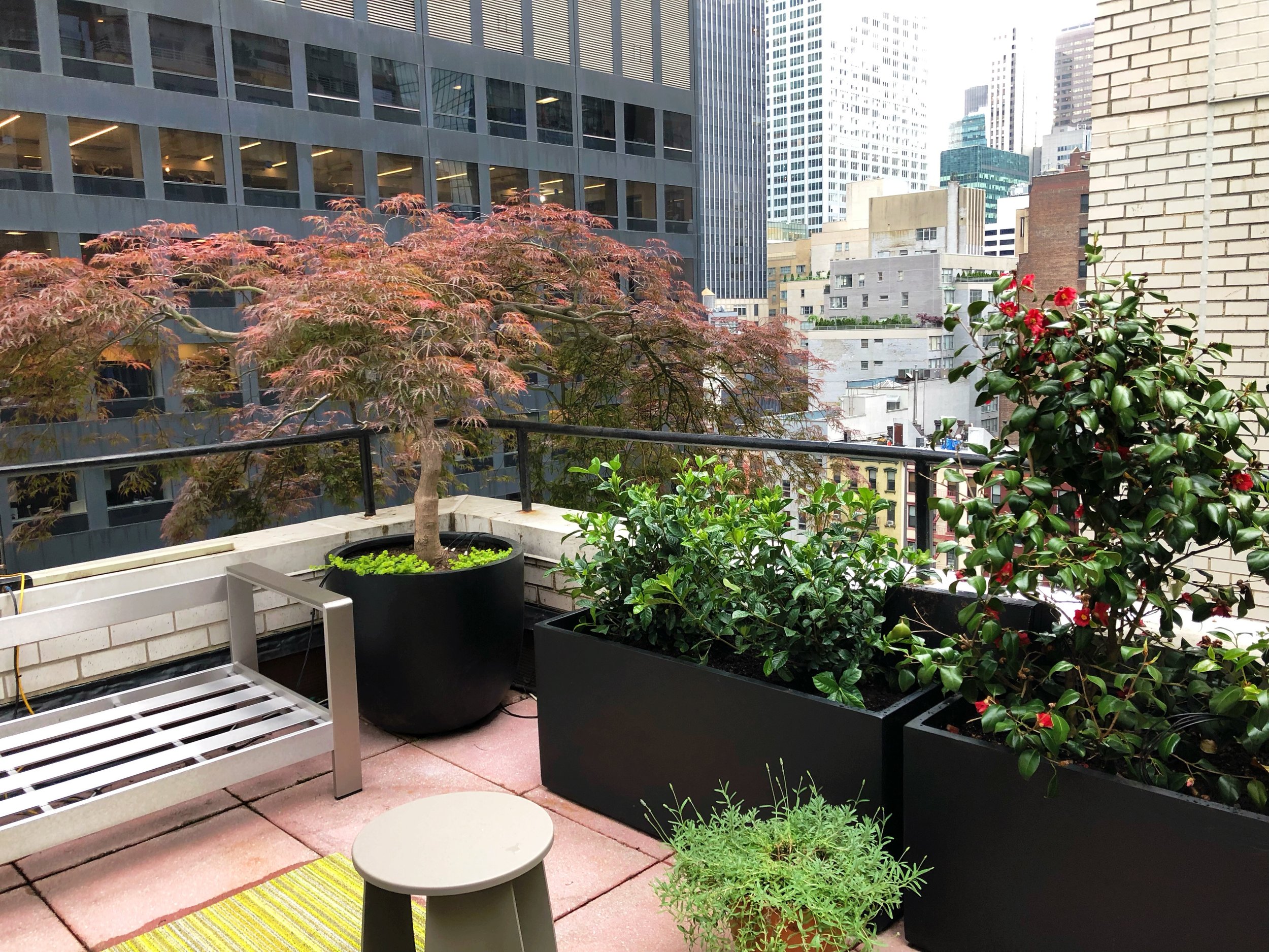 AfterlightImage 6.JPG