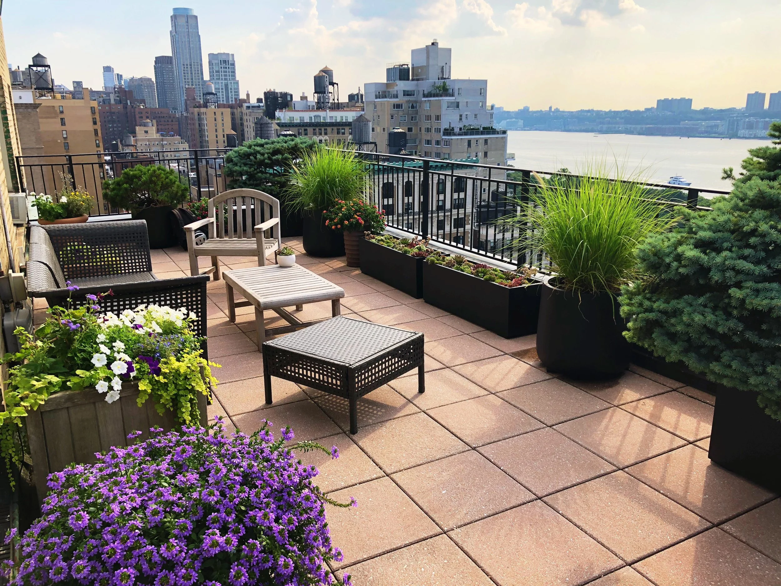 AfterlightImage 18.JPG