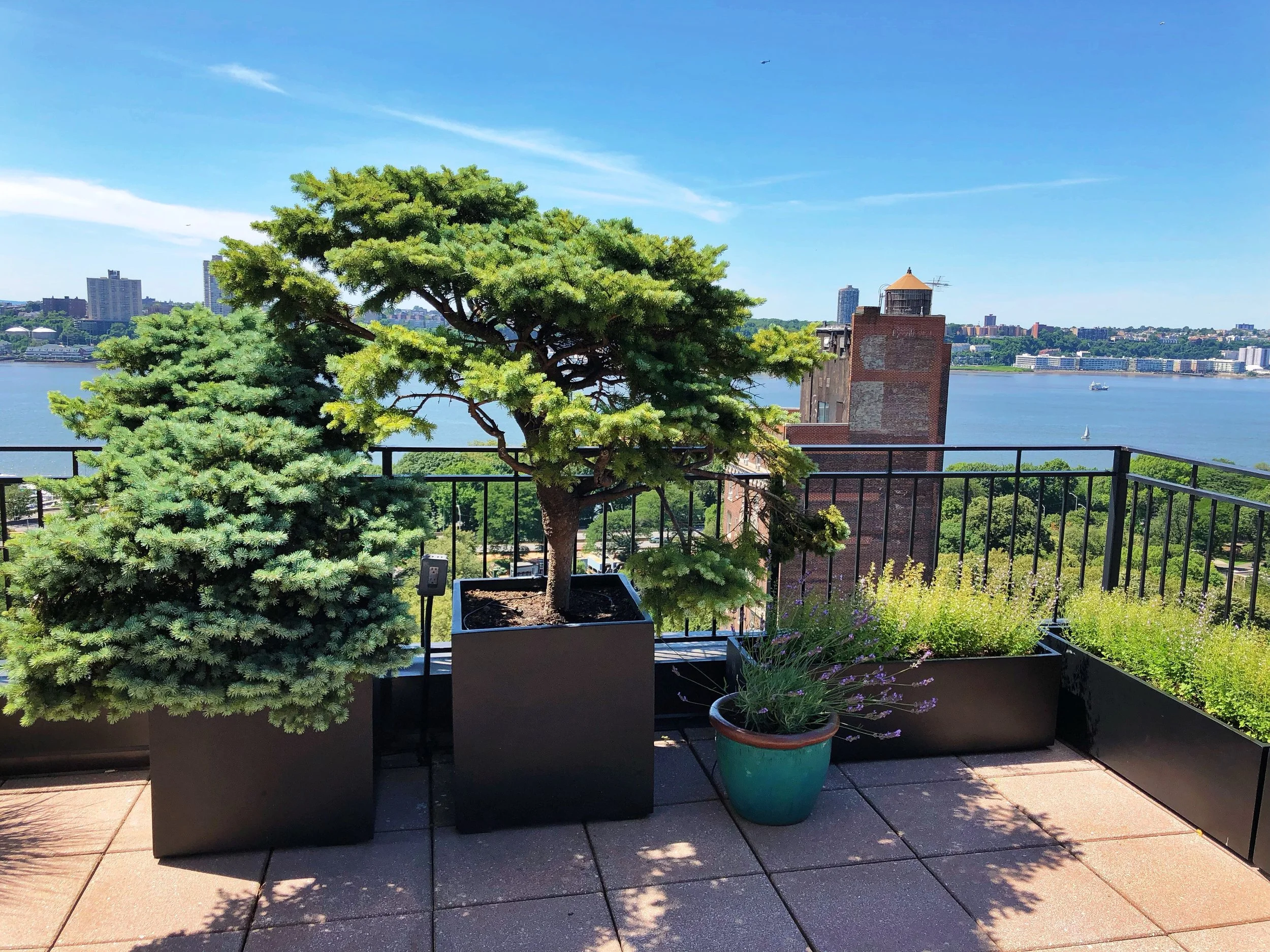 AfterlightImage 17.JPG