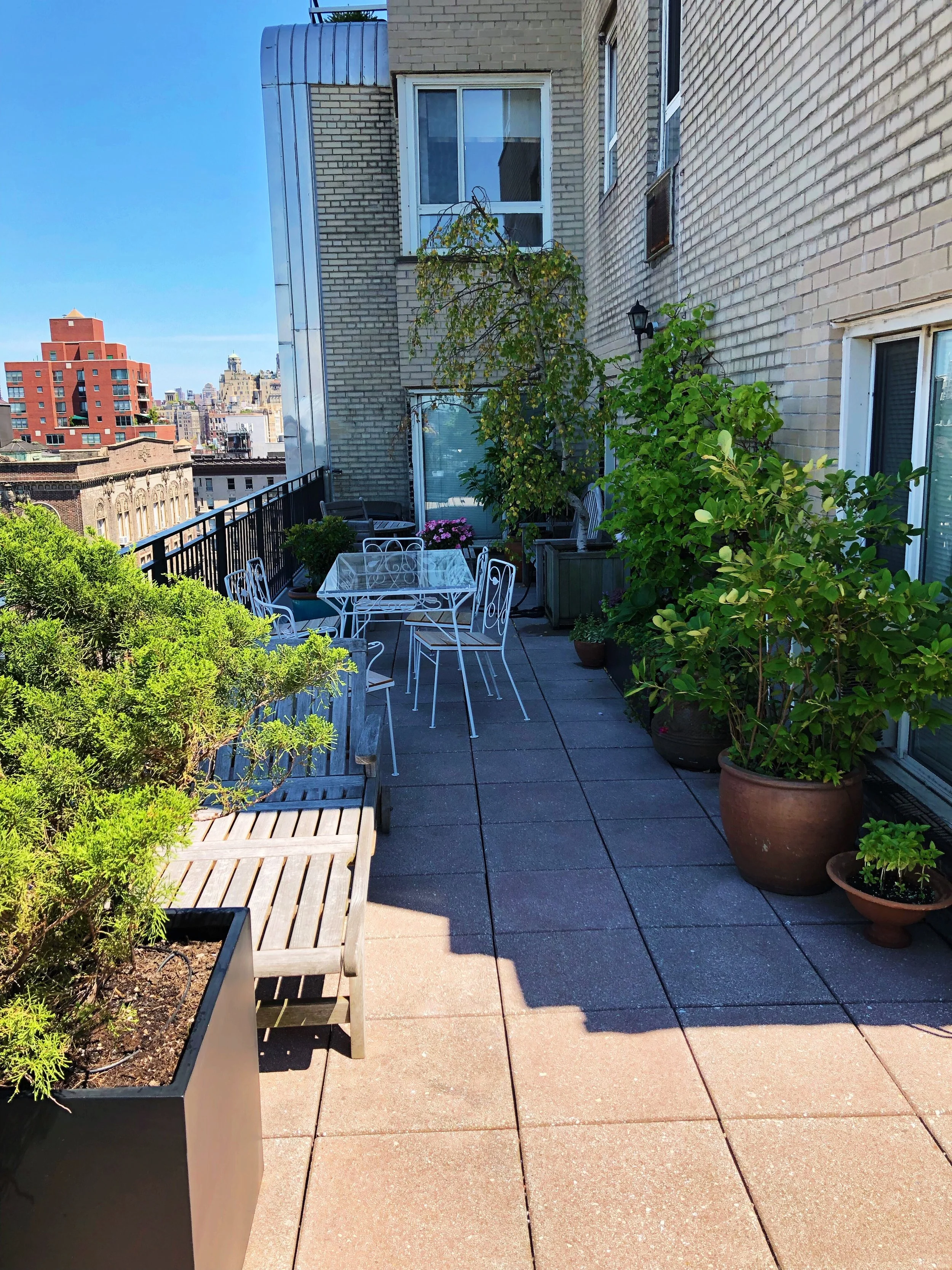 AfterlightImage 15.JPG