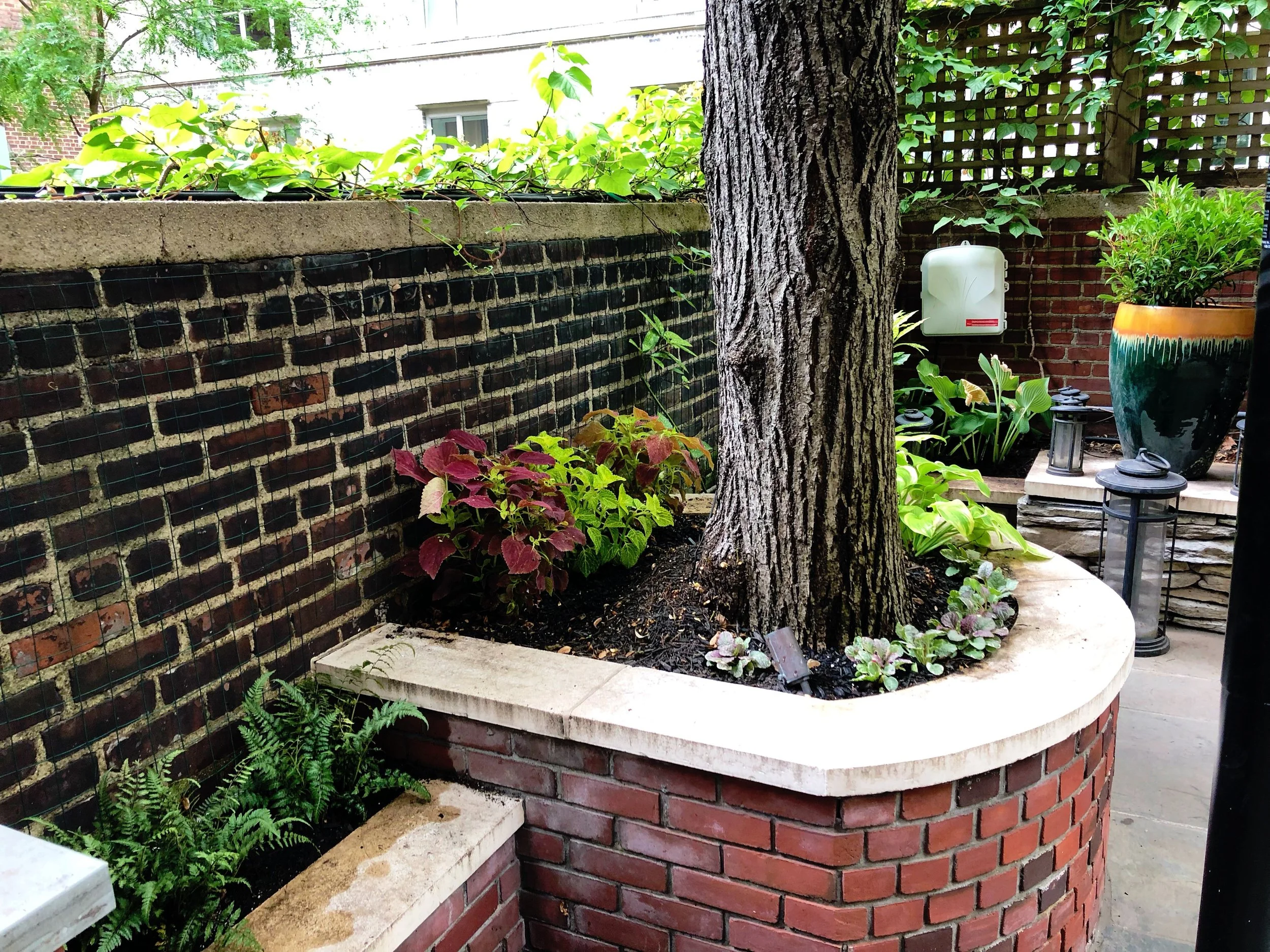 AfterlightImage 25.JPG