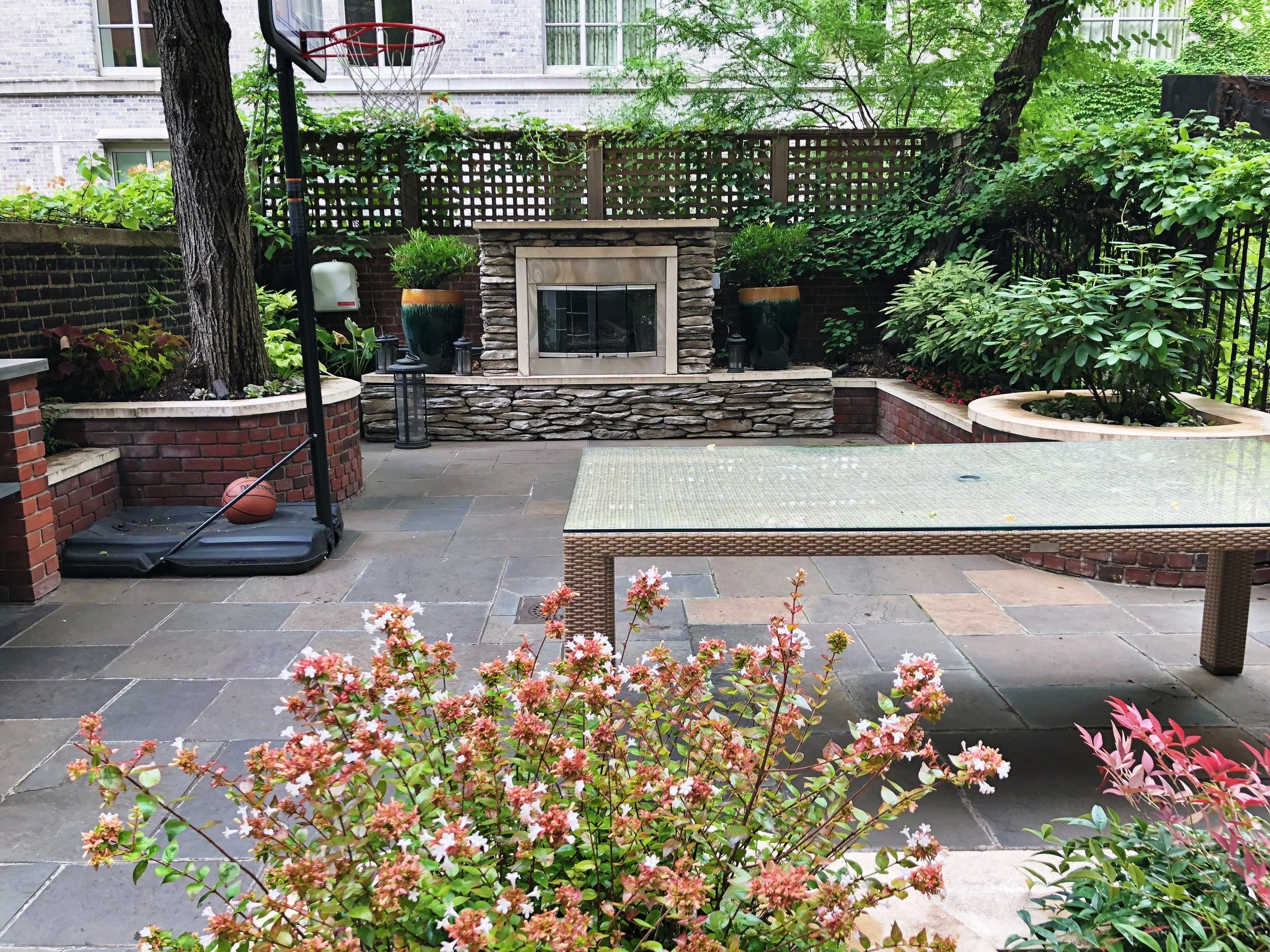 AfterlightImage 20.JPG