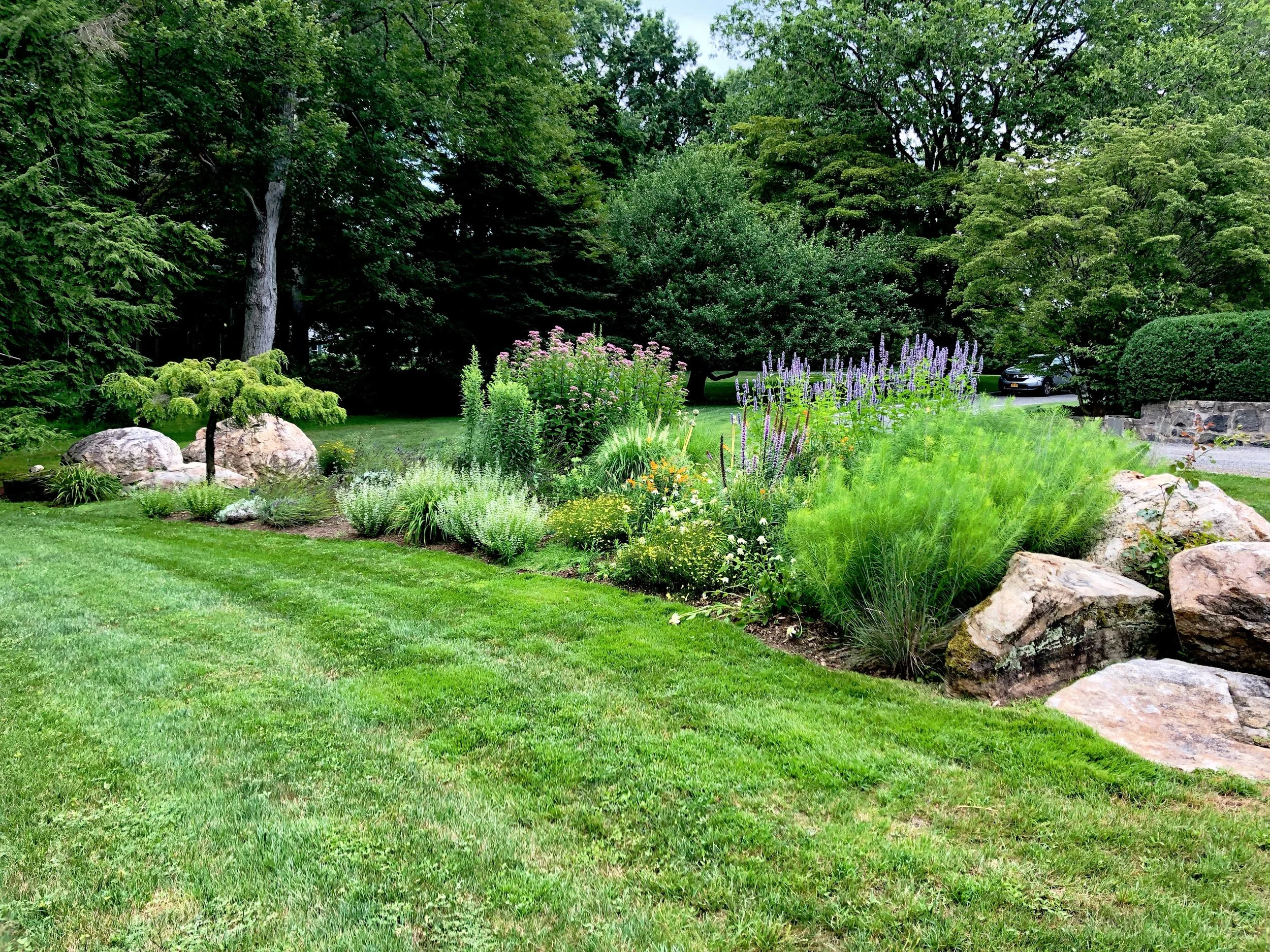 AfterlightImage 32.JPG