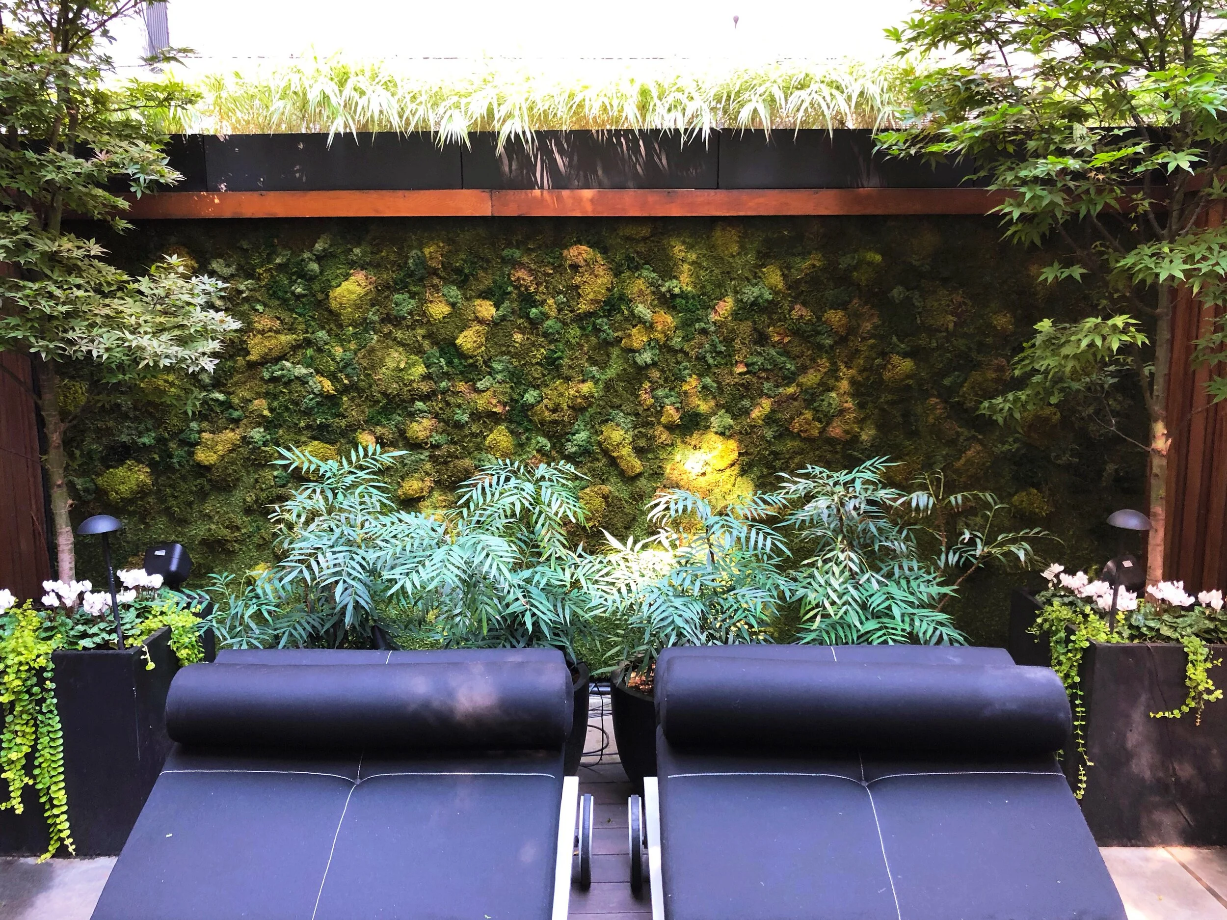 AfterlightImage 41.JPG