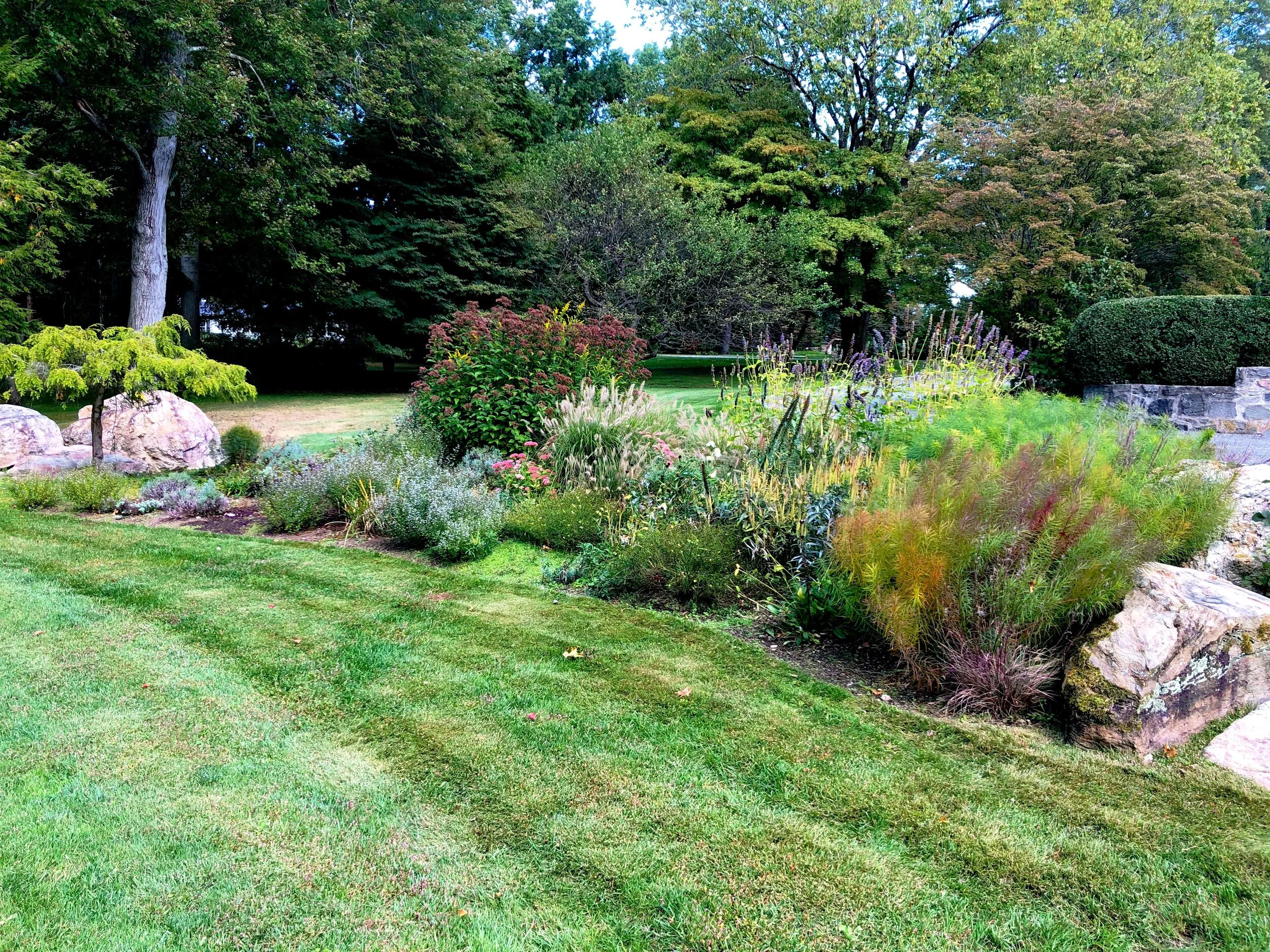 AfterlightImage 45.JPG