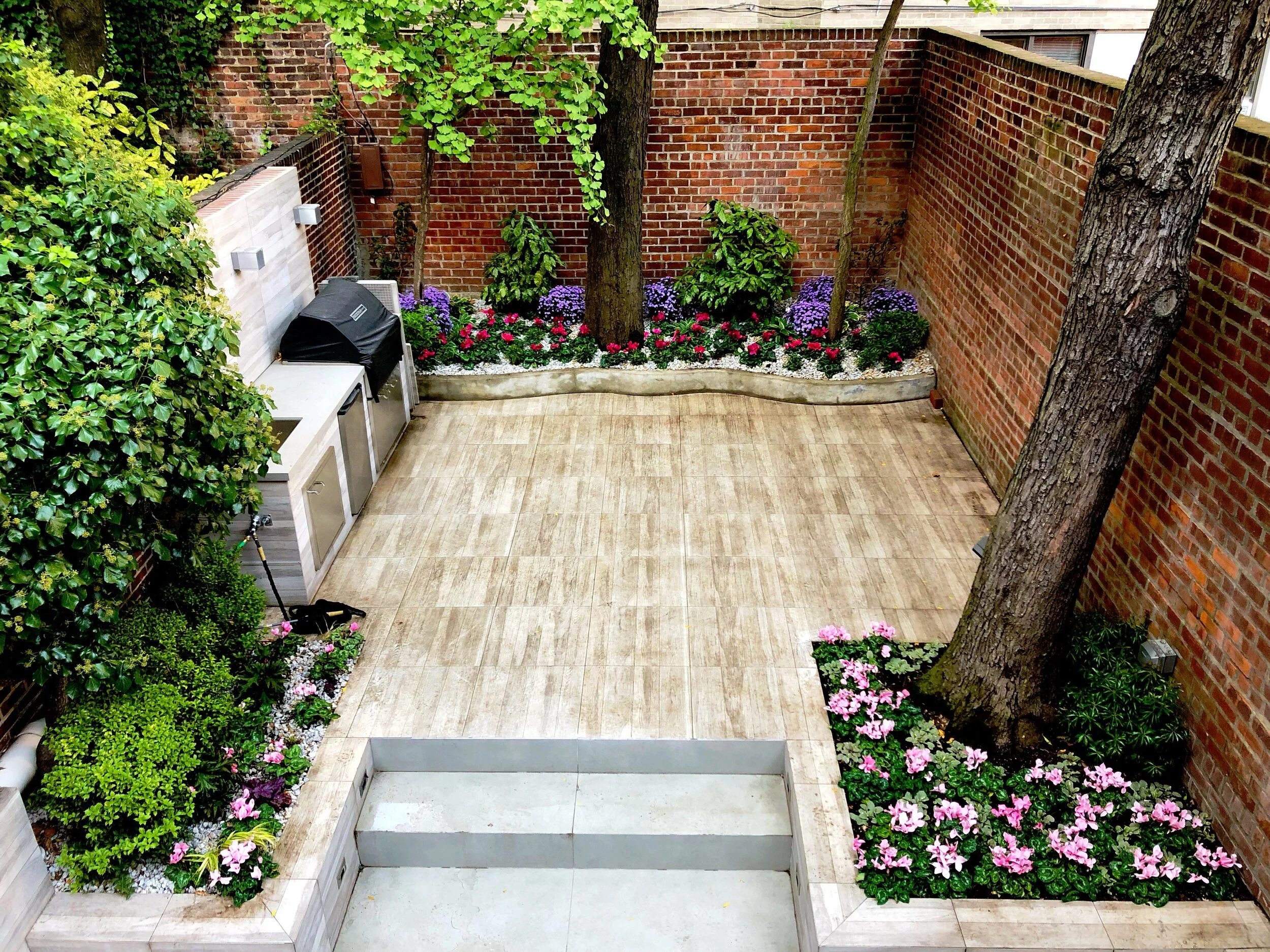 AfterlightImage 49.JPG