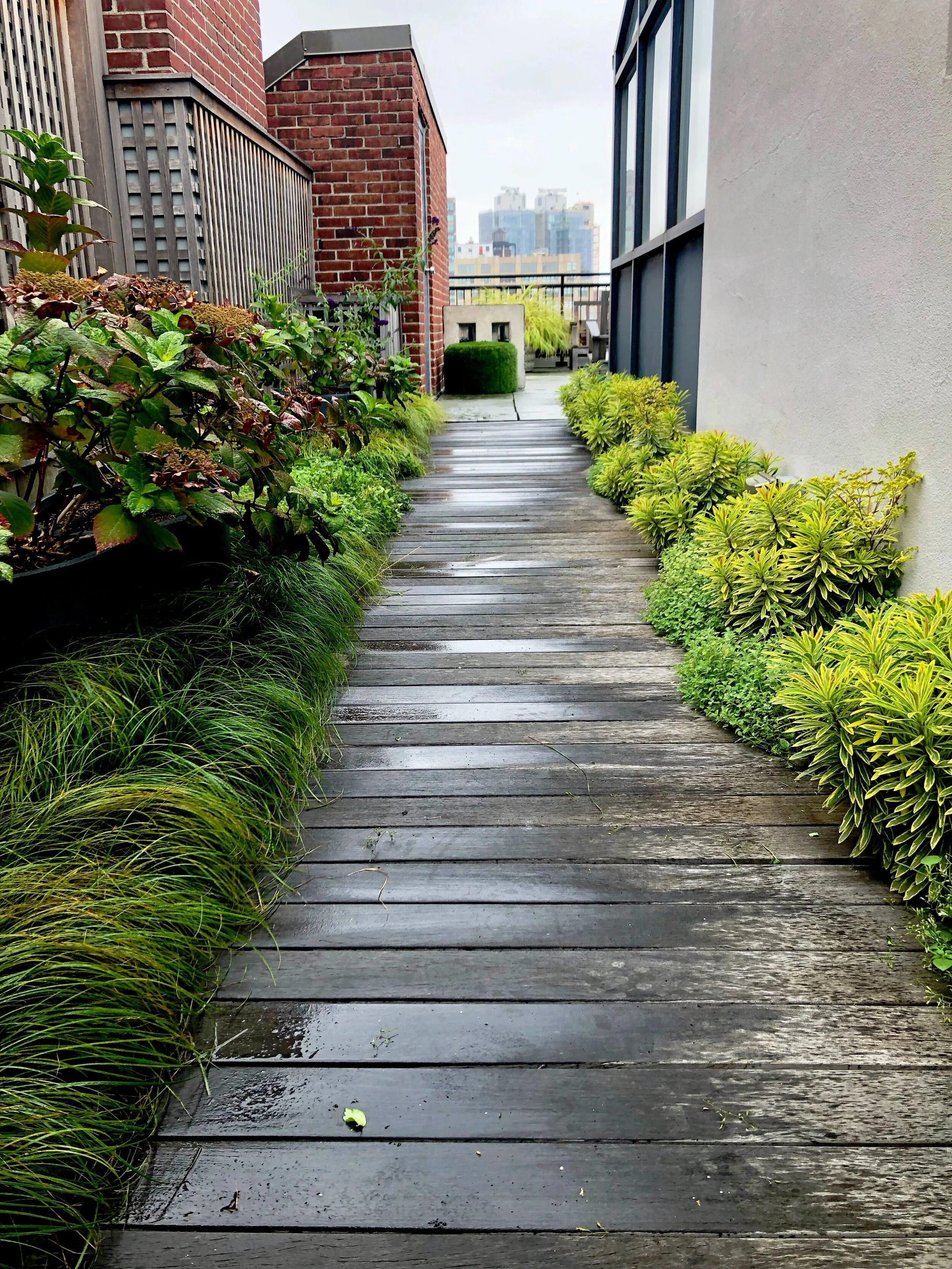 AfterlightImage 37.JPG