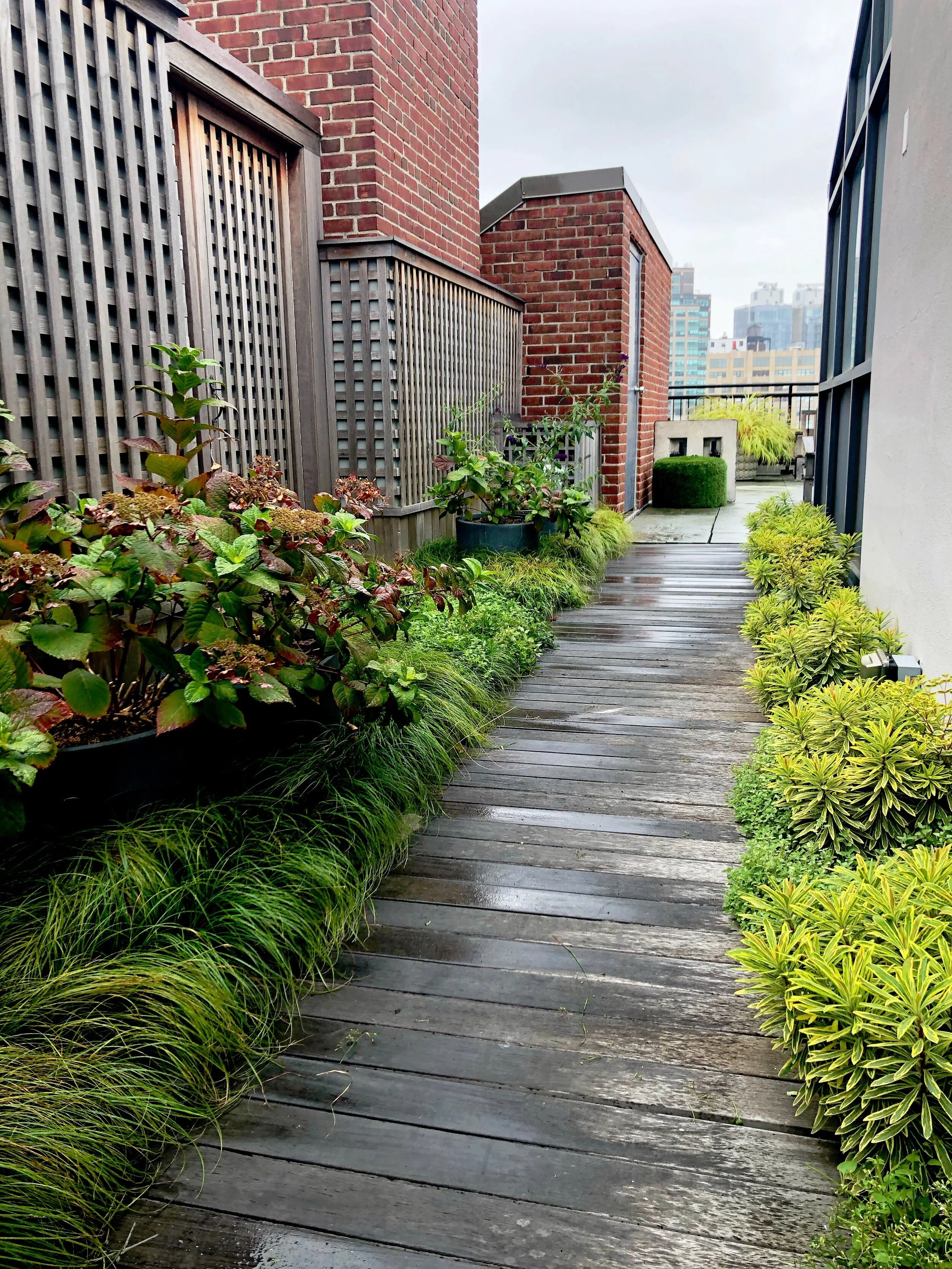 AfterlightImage 38.JPG