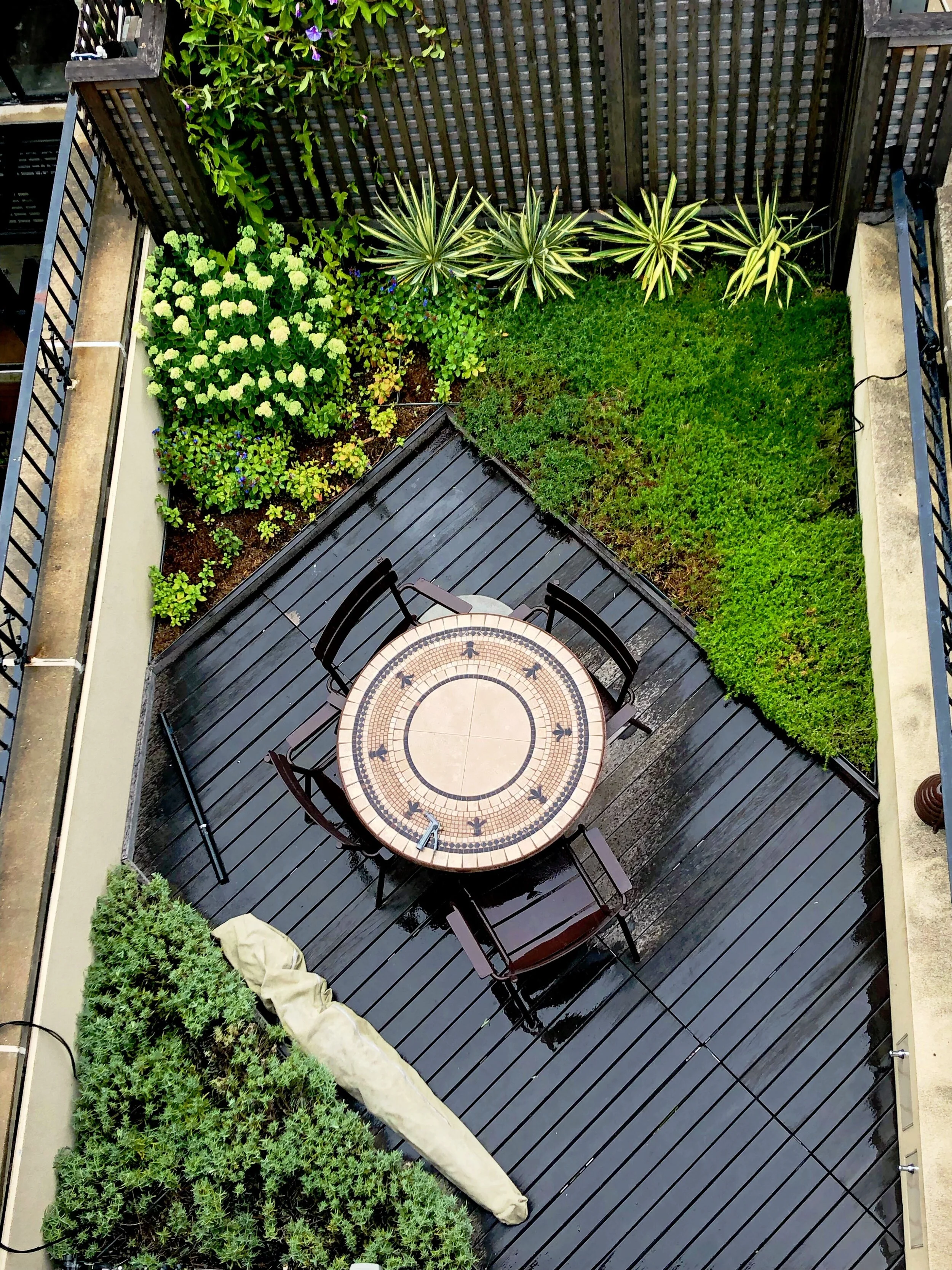 AfterlightImage 39.JPG