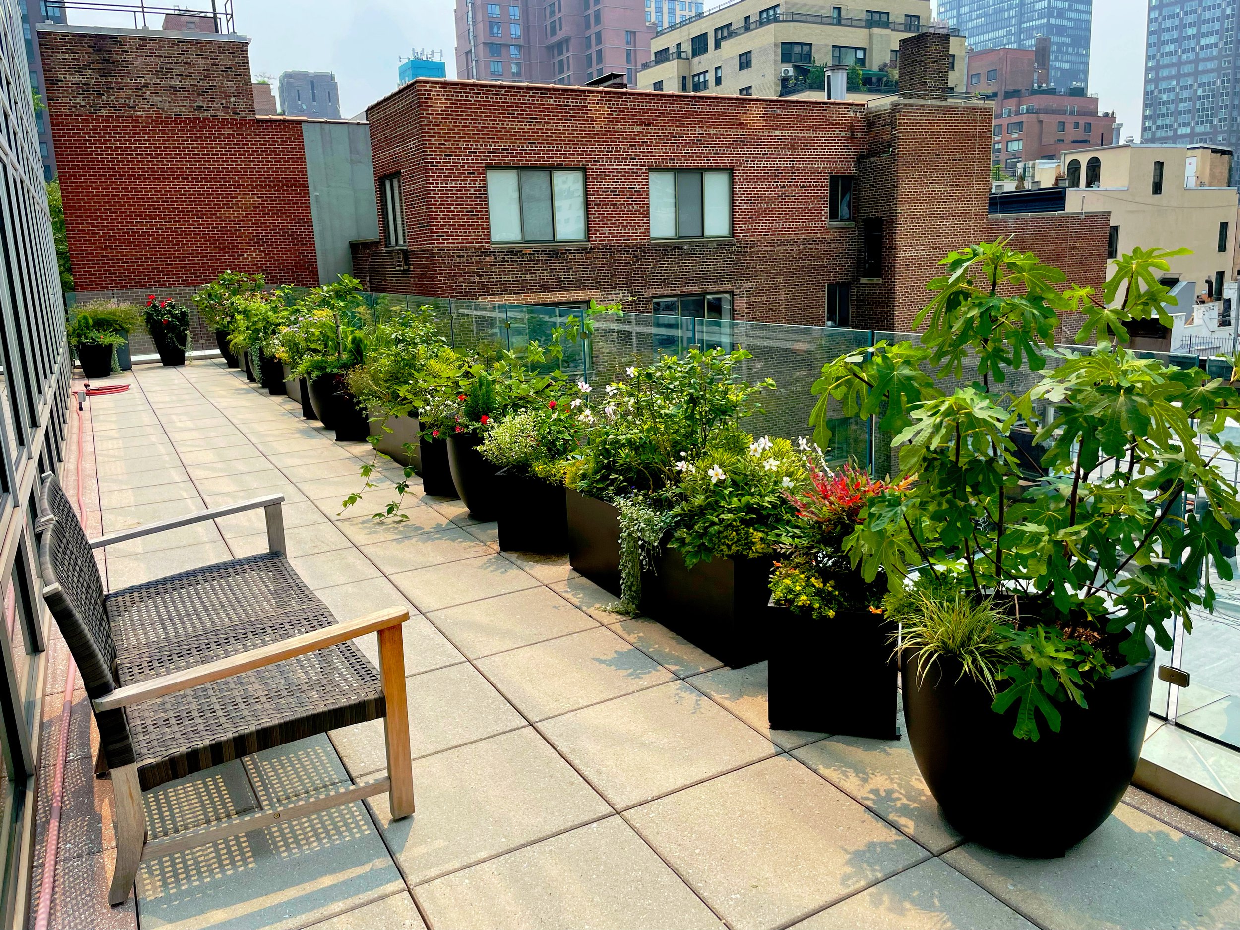 AfterlightImage 64.JPG