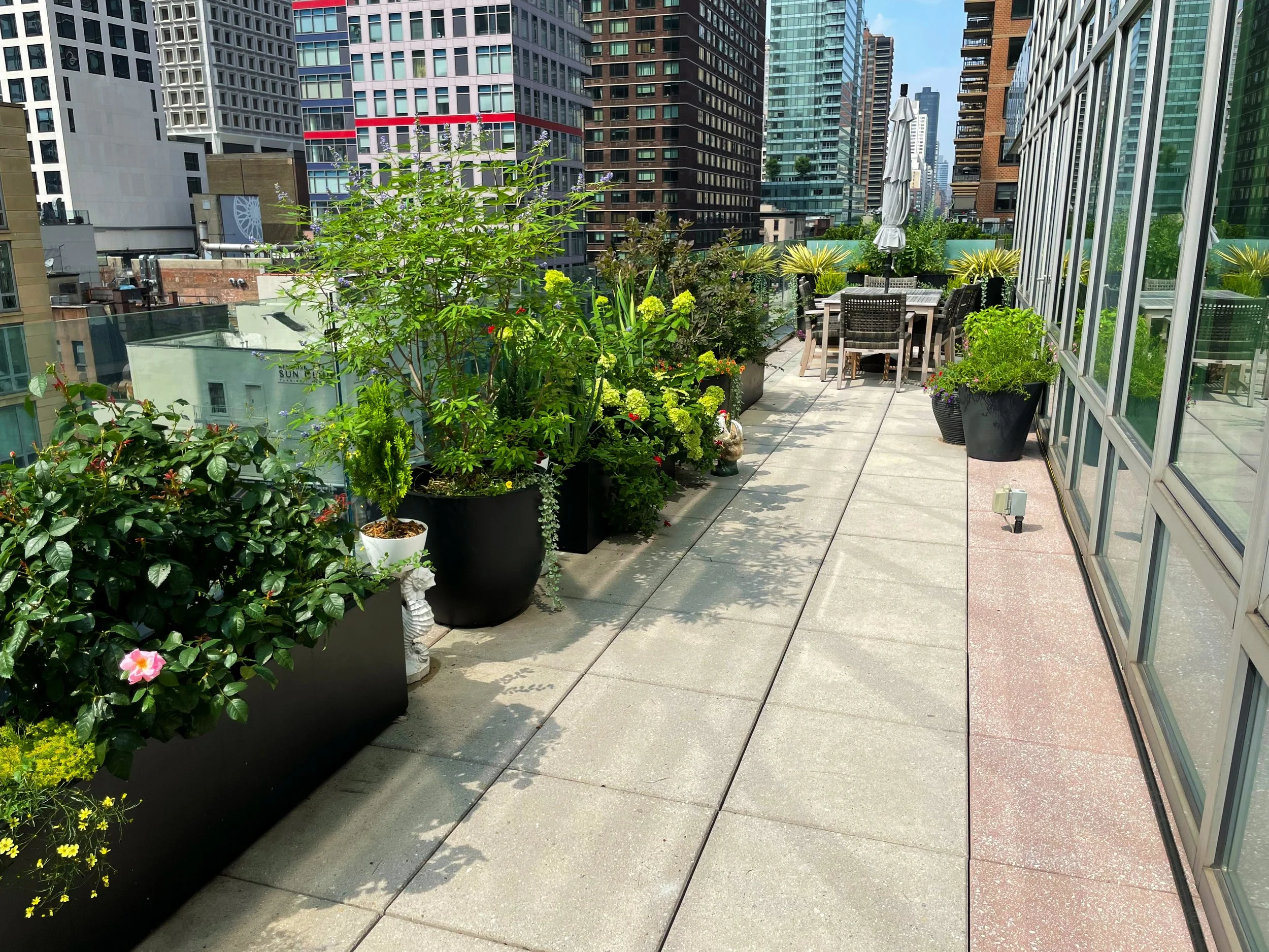 AfterlightImage 71.JPG