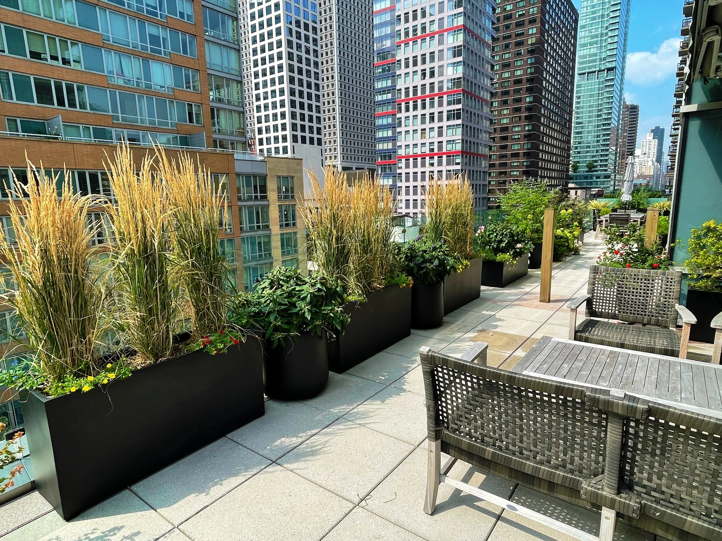 AfterlightImage 70.JPG