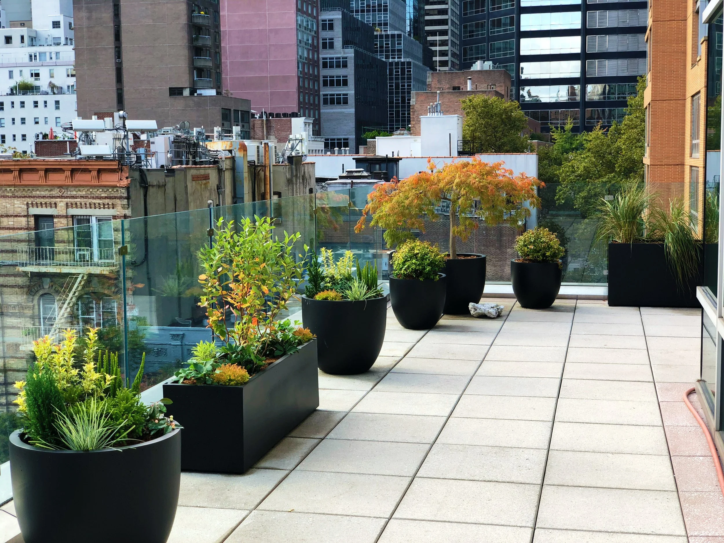 AfterlightImage 68.JPG