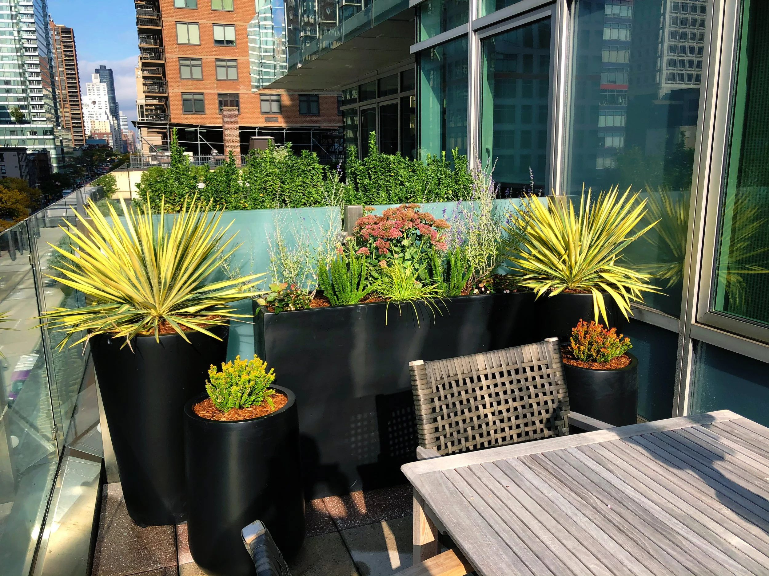 AfterlightImage 66.JPG