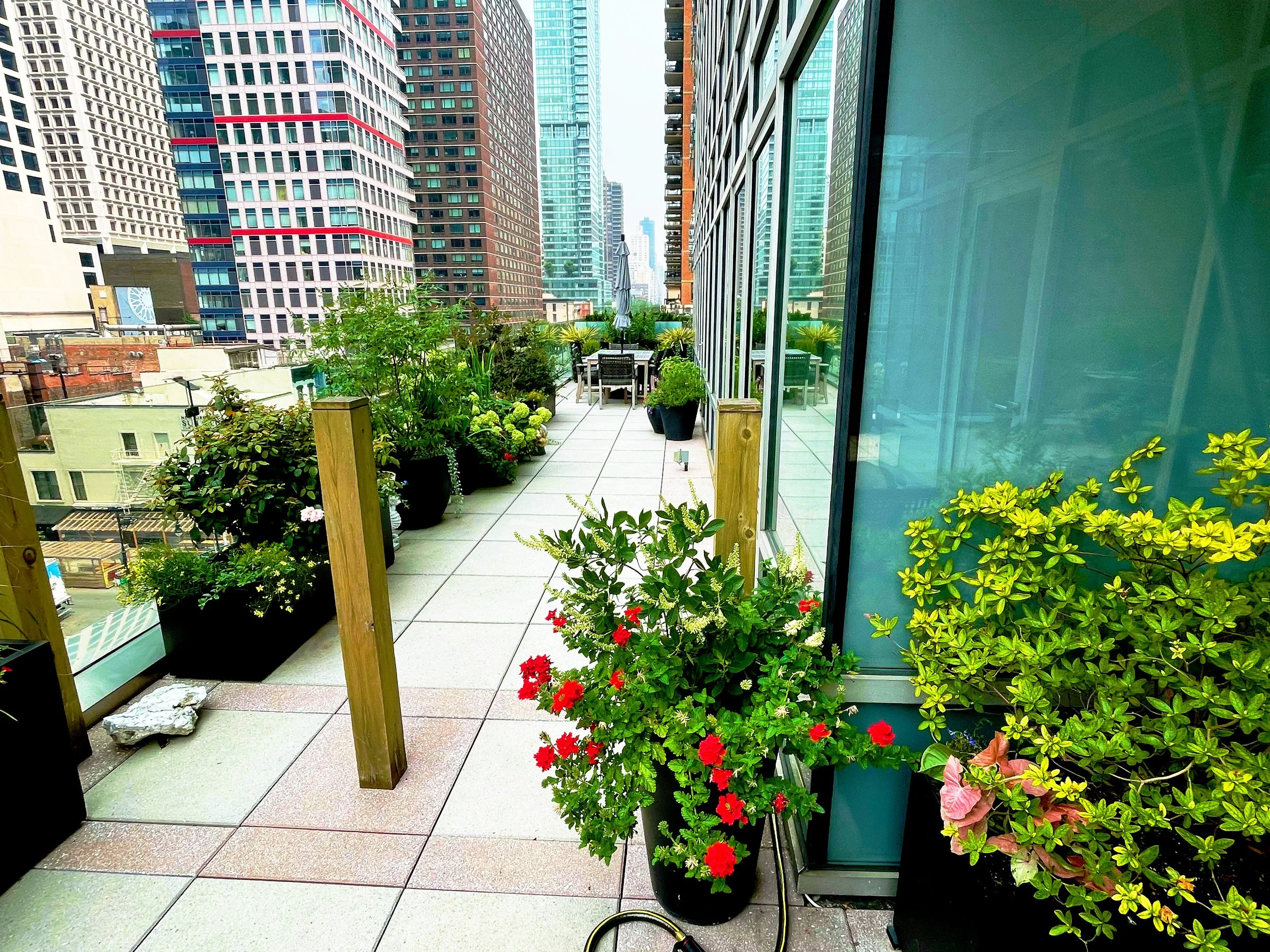 AfterlightImage 65.JPG