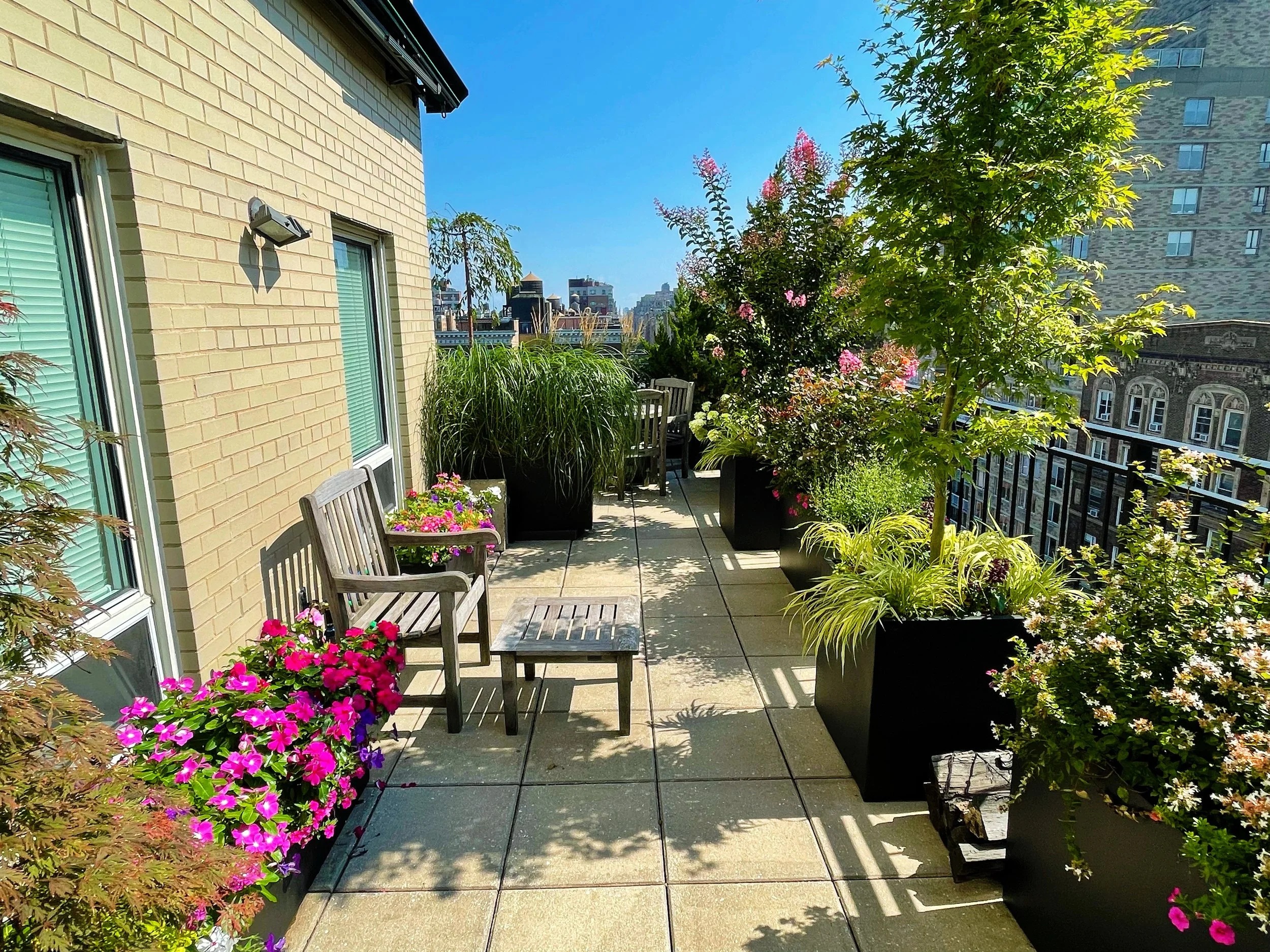 AfterlightImage 79.JPG