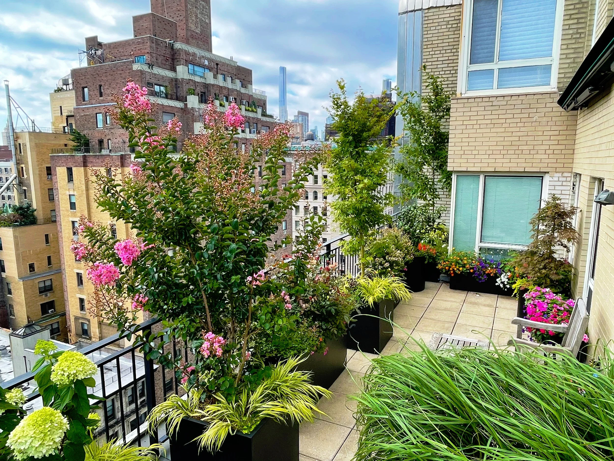 AfterlightImage 73.JPG