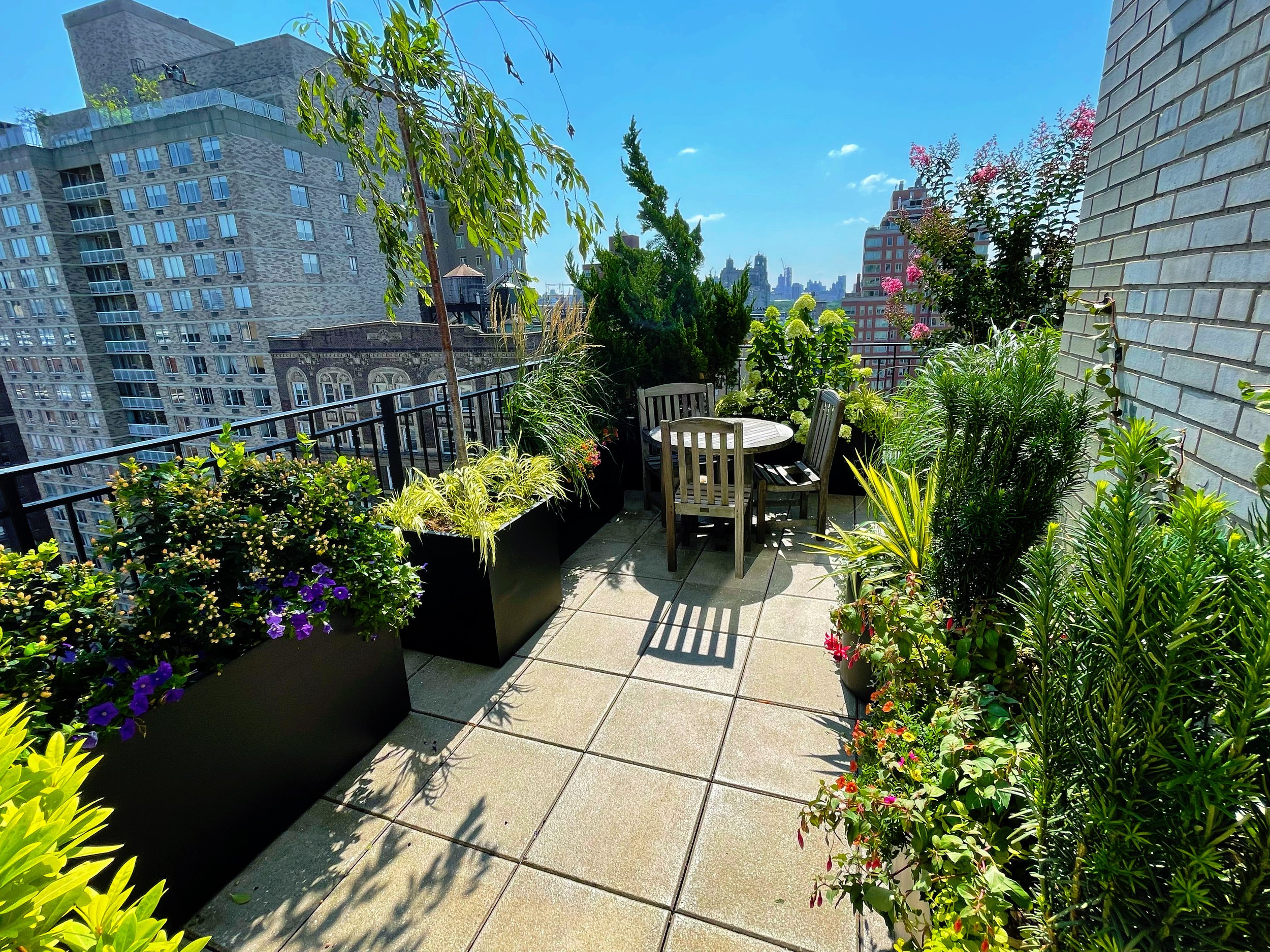 AfterlightImage 78.JPG