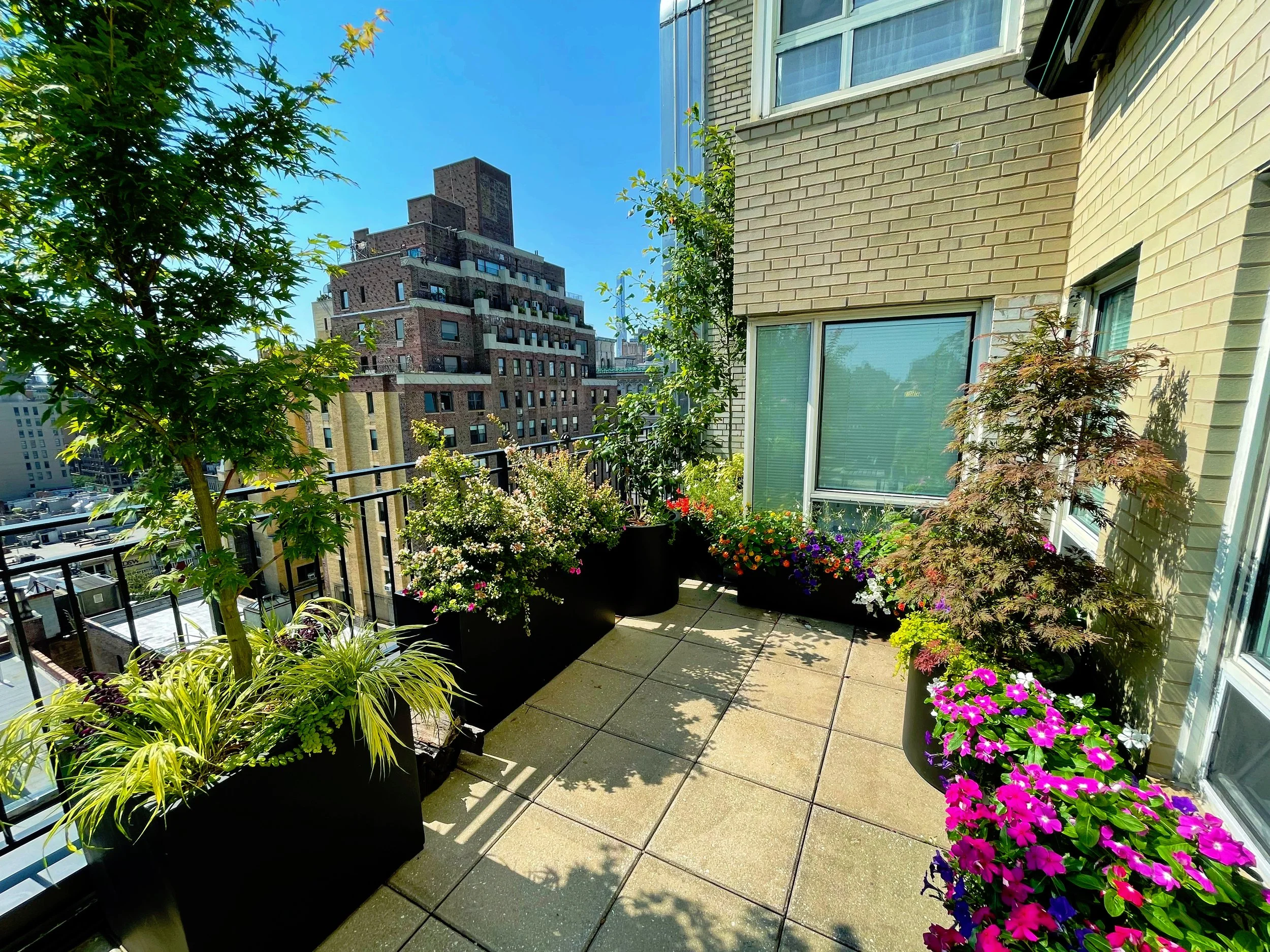 AfterlightImage 77.JPG