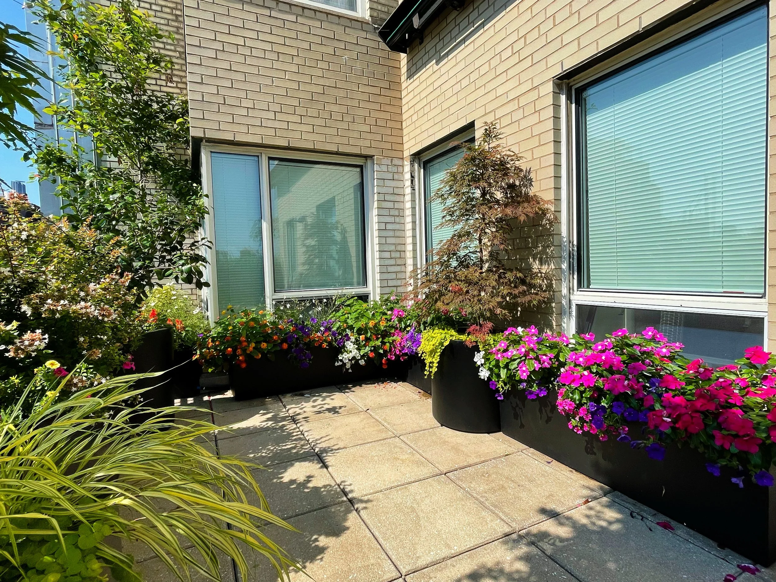 AfterlightImage 76.JPG