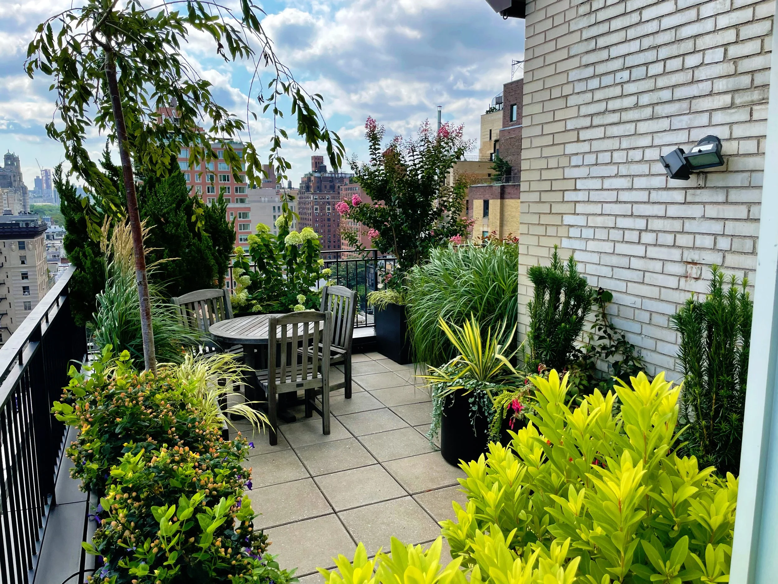 AfterlightImage 75.JPG