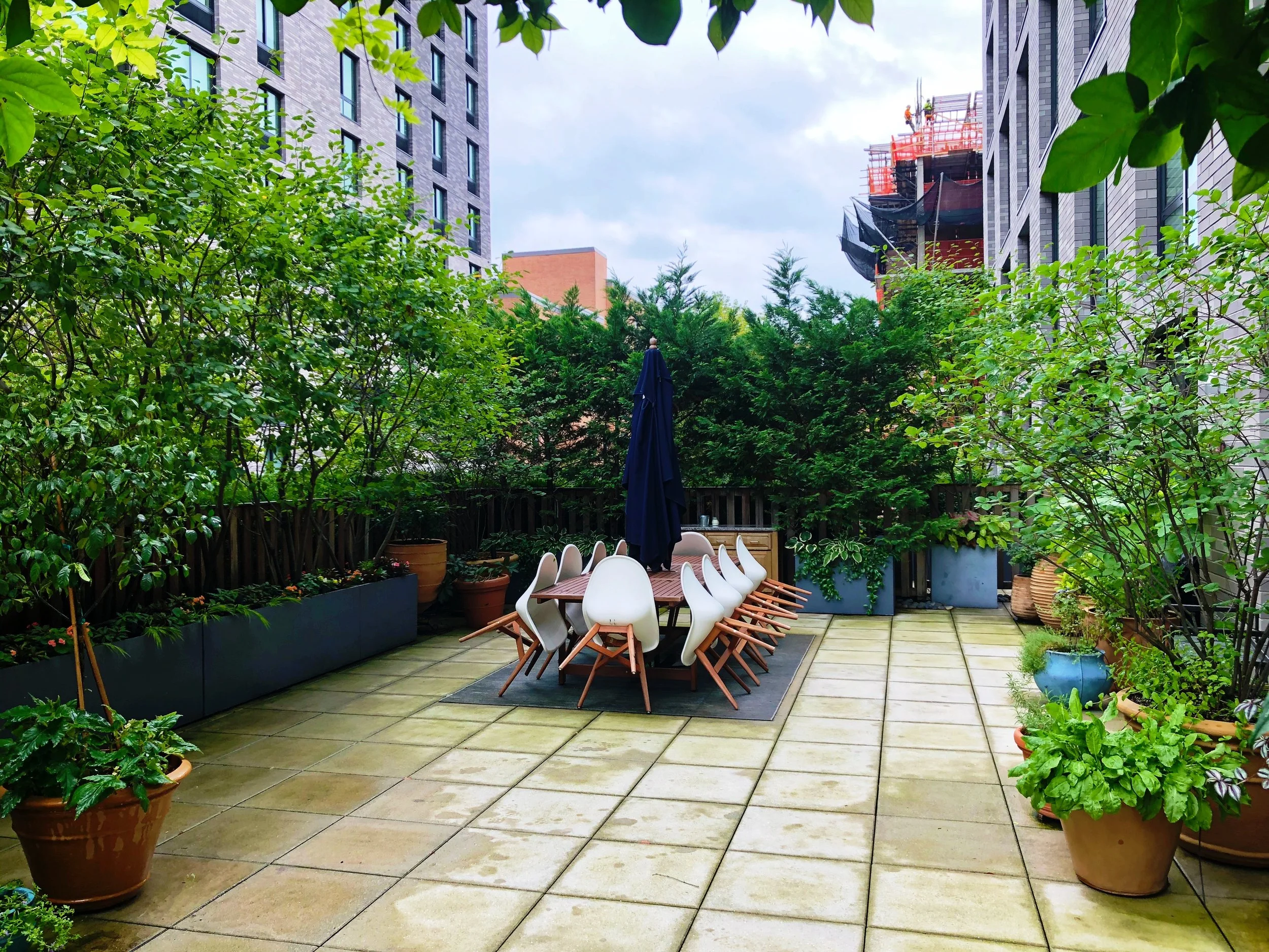 AfterlightImage 87.JPG