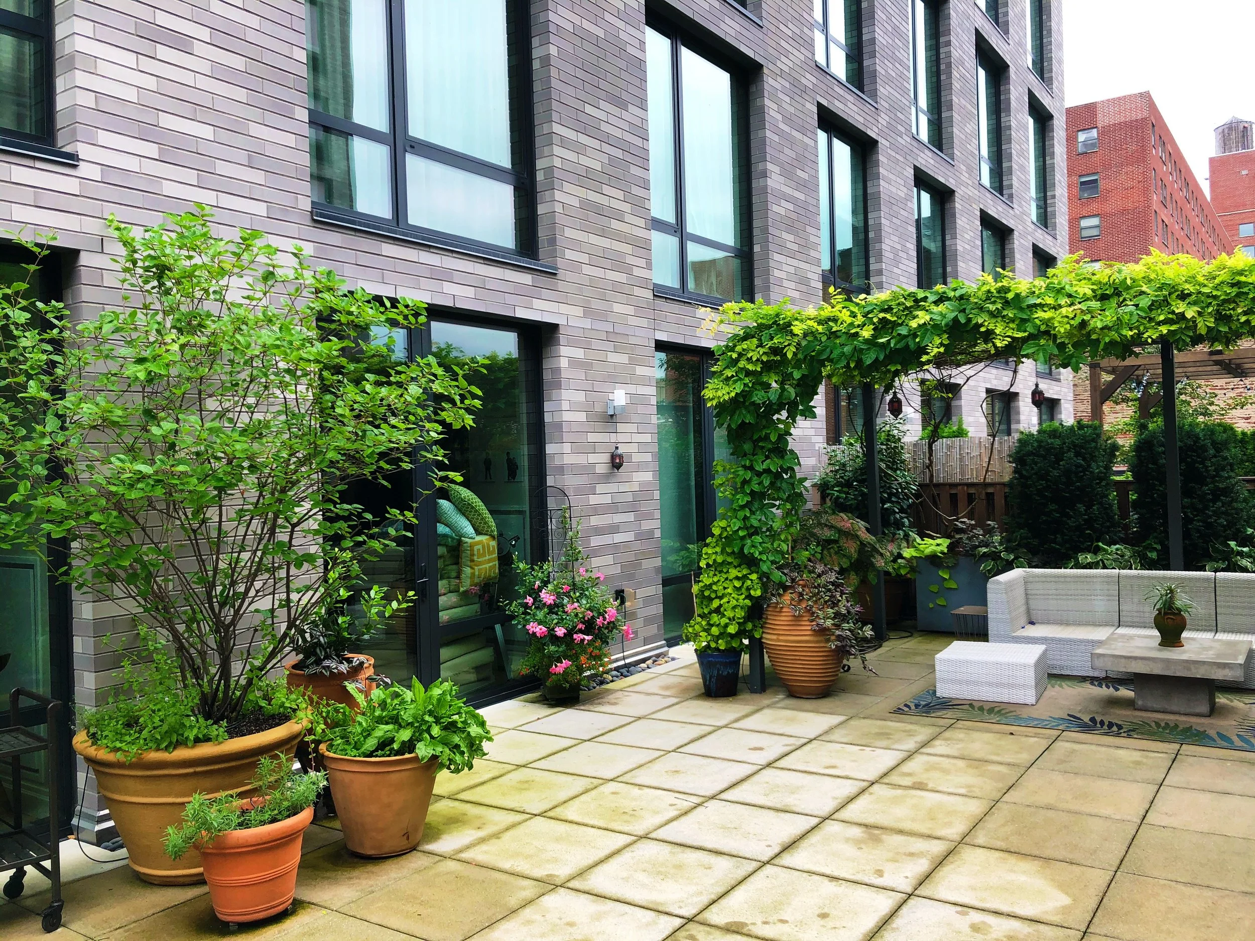 AfterlightImage 86.JPG