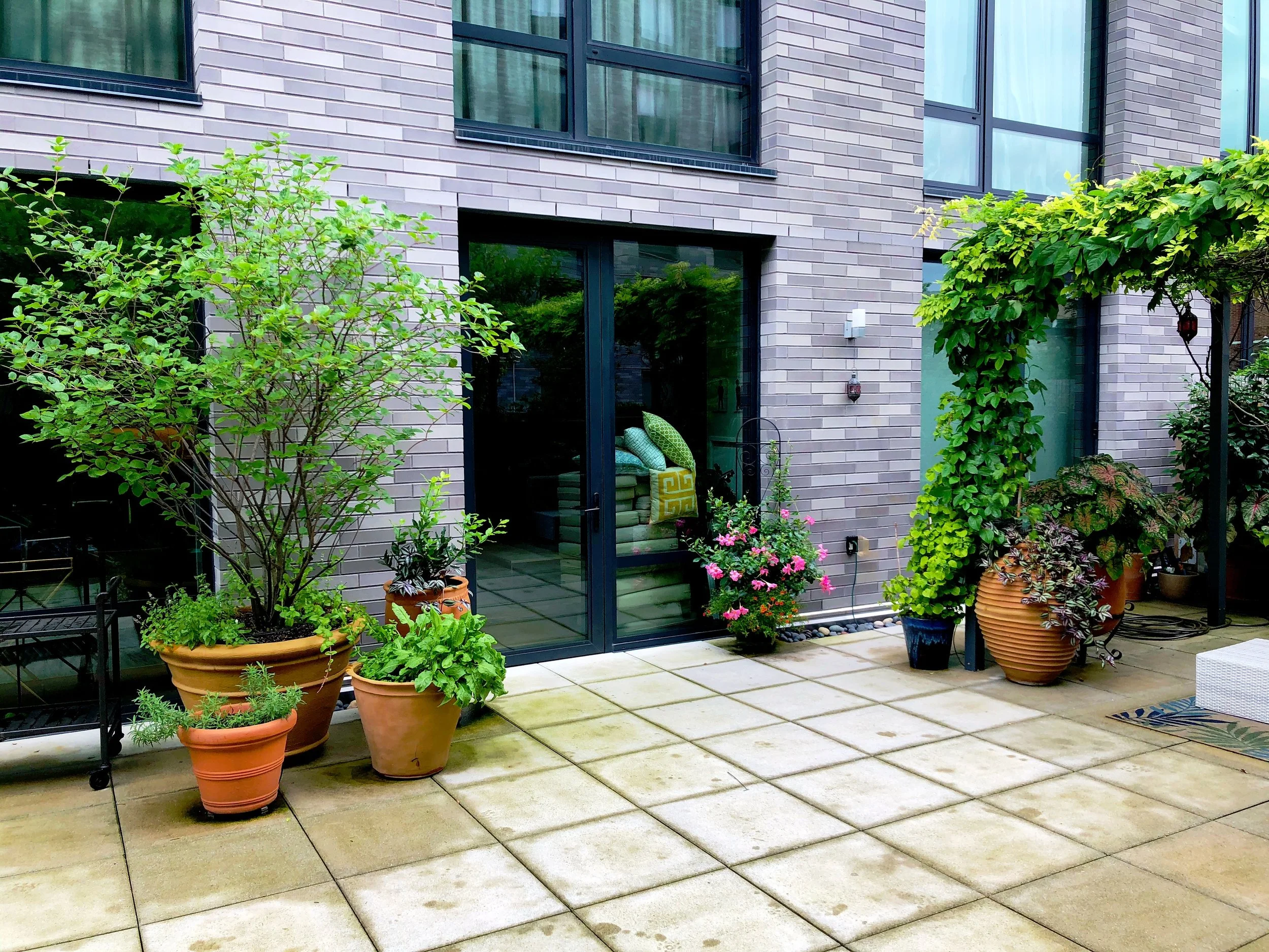 AfterlightImage 84.JPG