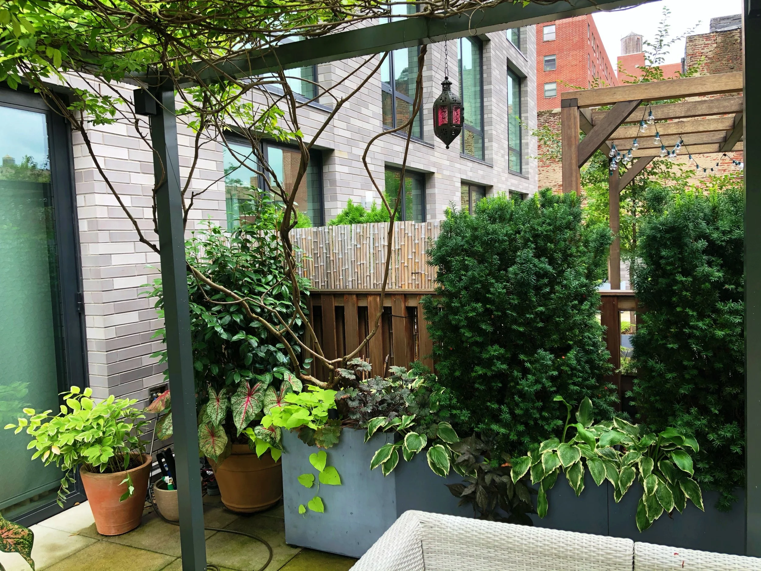 AfterlightImage 83.JPG