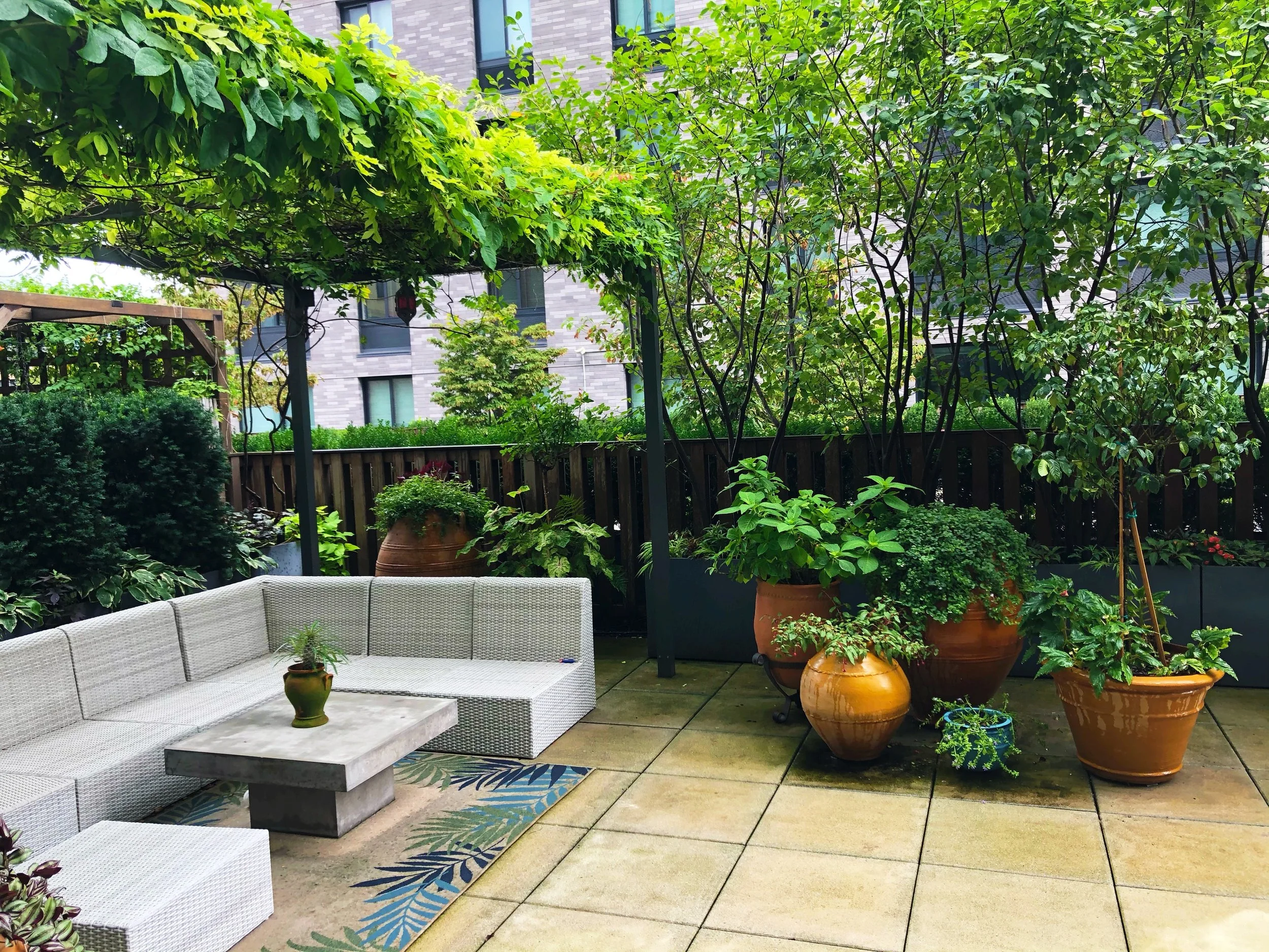 AfterlightImage 82.JPG