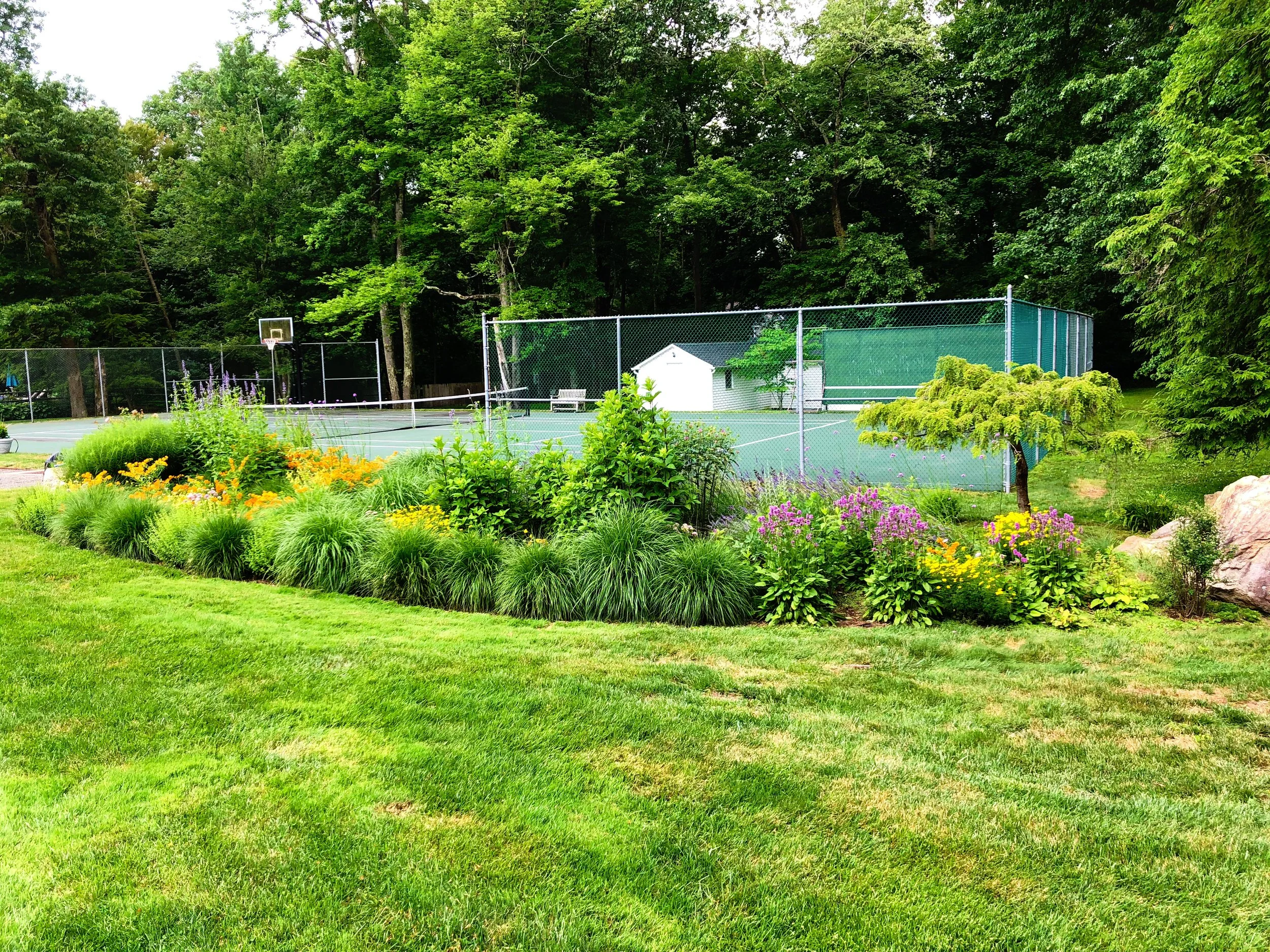 AfterlightImage 88.JPG