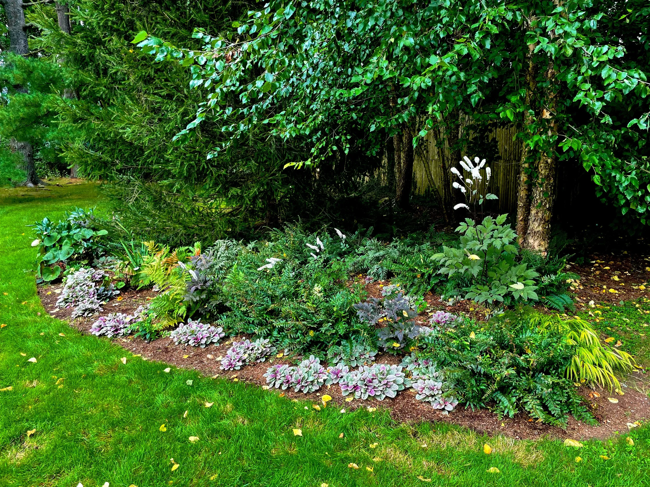 AfterlightImage 91.JPG