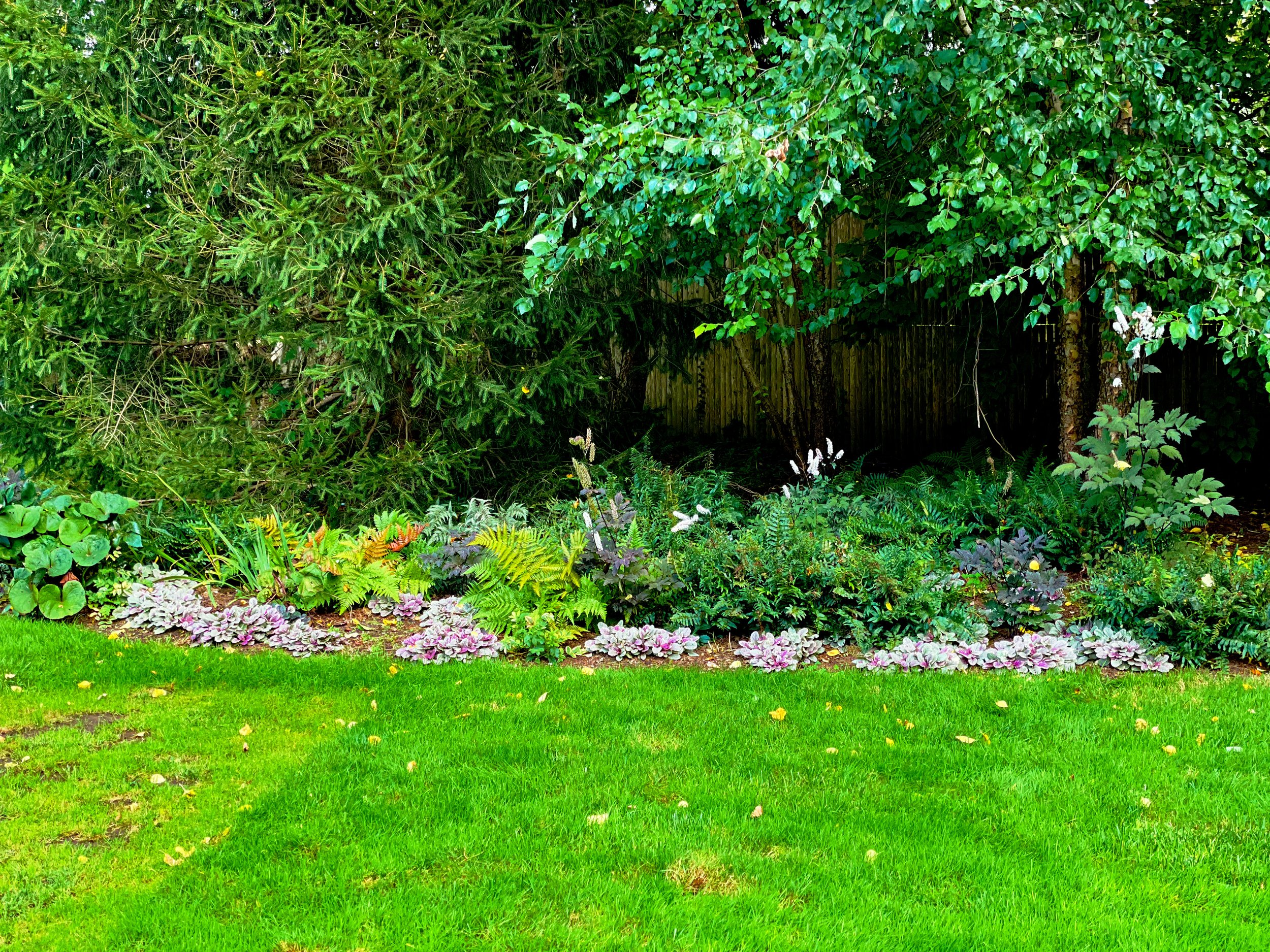 AfterlightImage 90.JPG