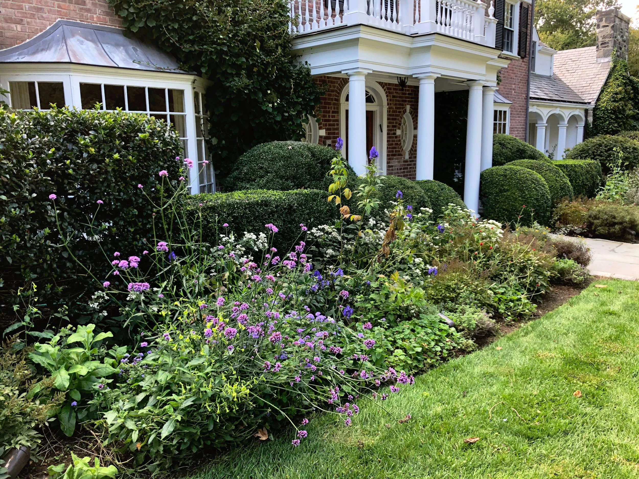 AfterlightImage 92.JPG