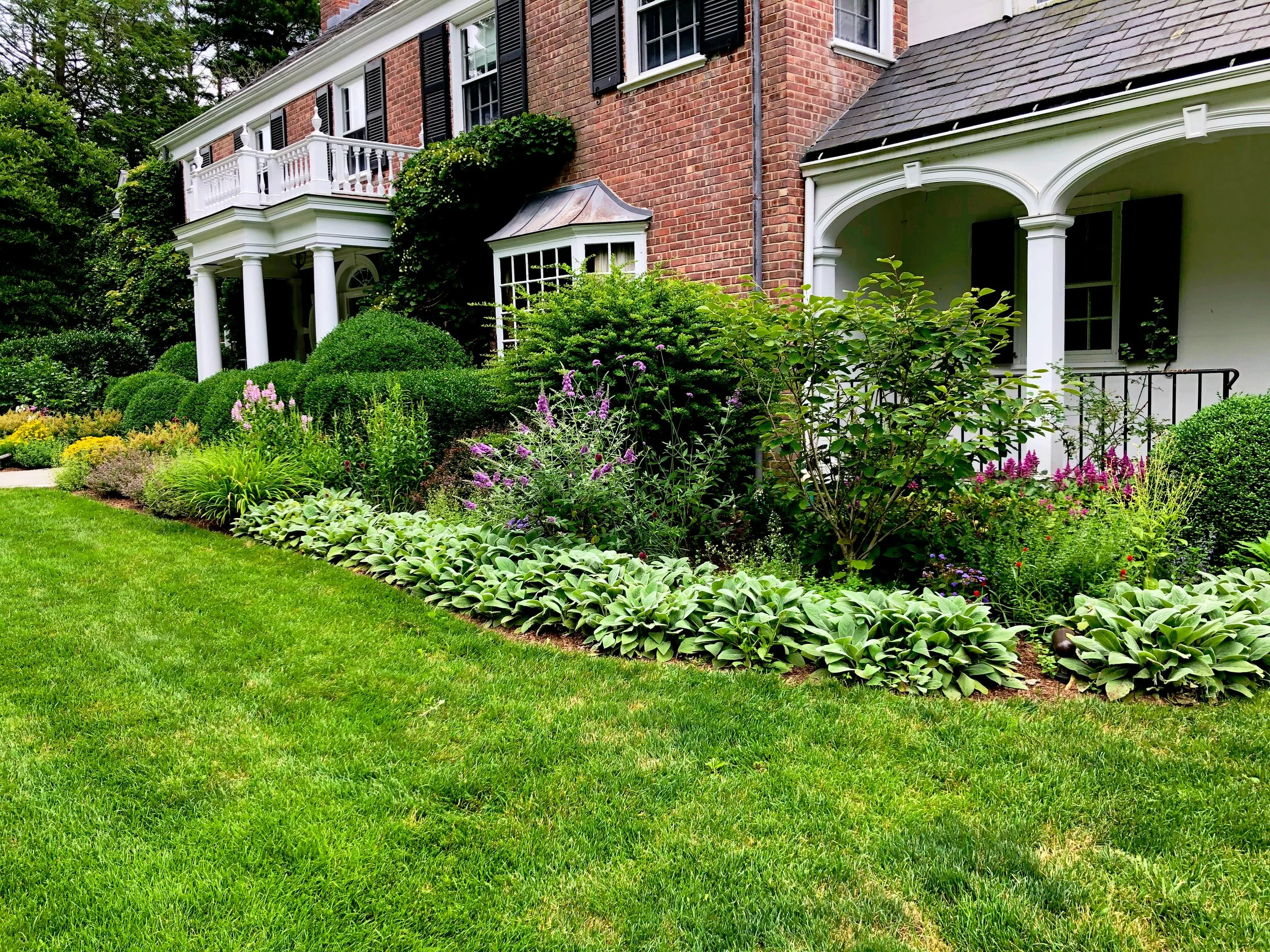 AfterlightImage 97.JPG