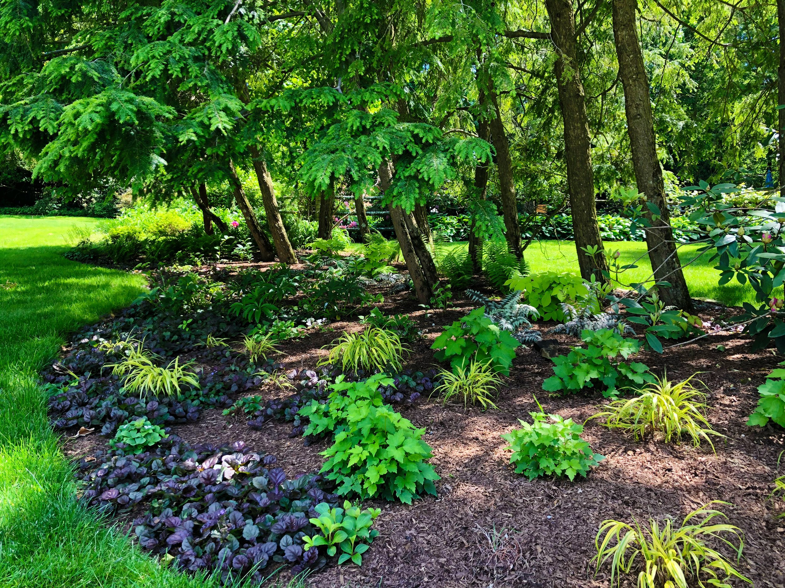 AfterlightImage 96.JPG