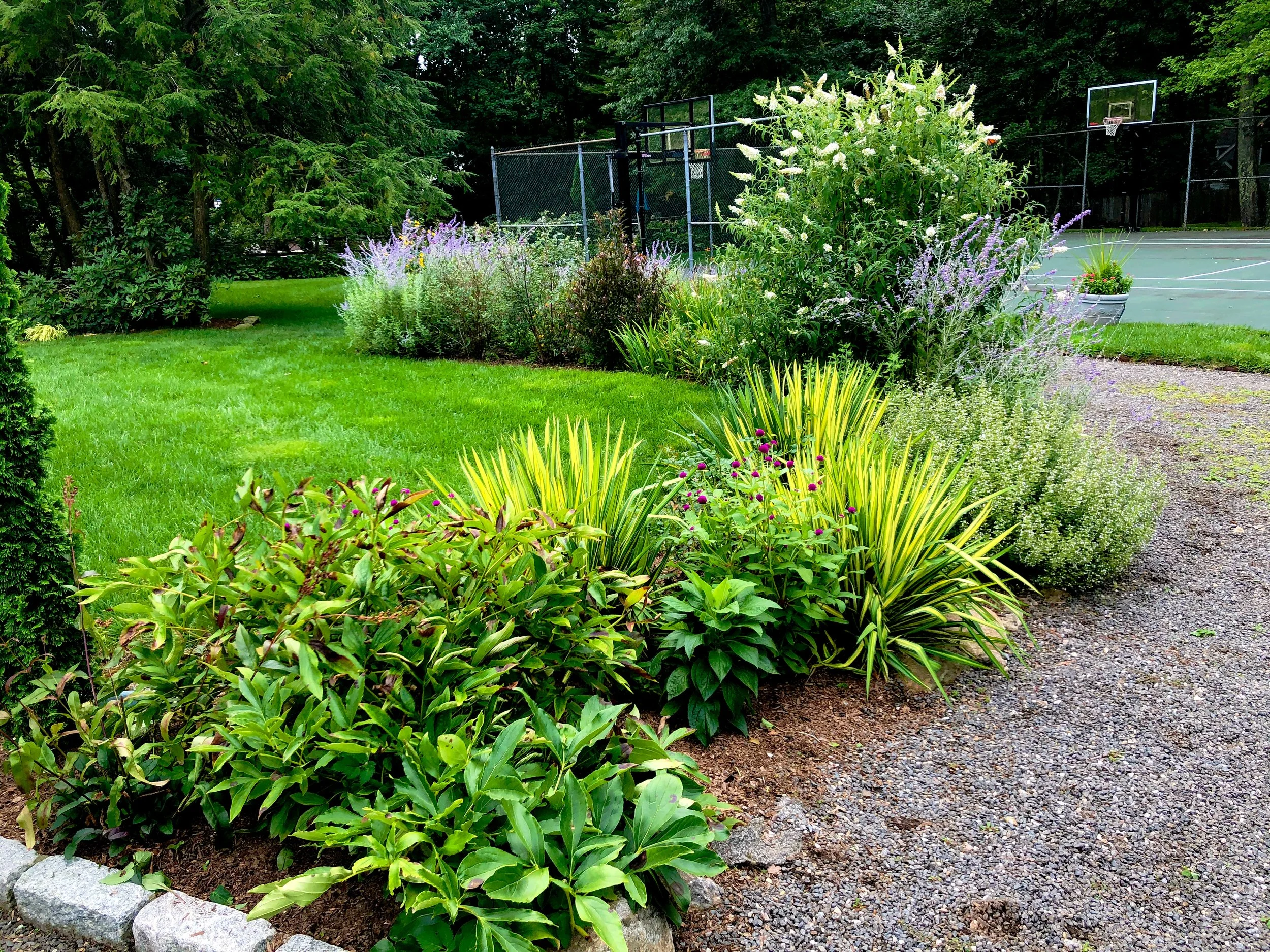 AfterlightImage 95.JPG