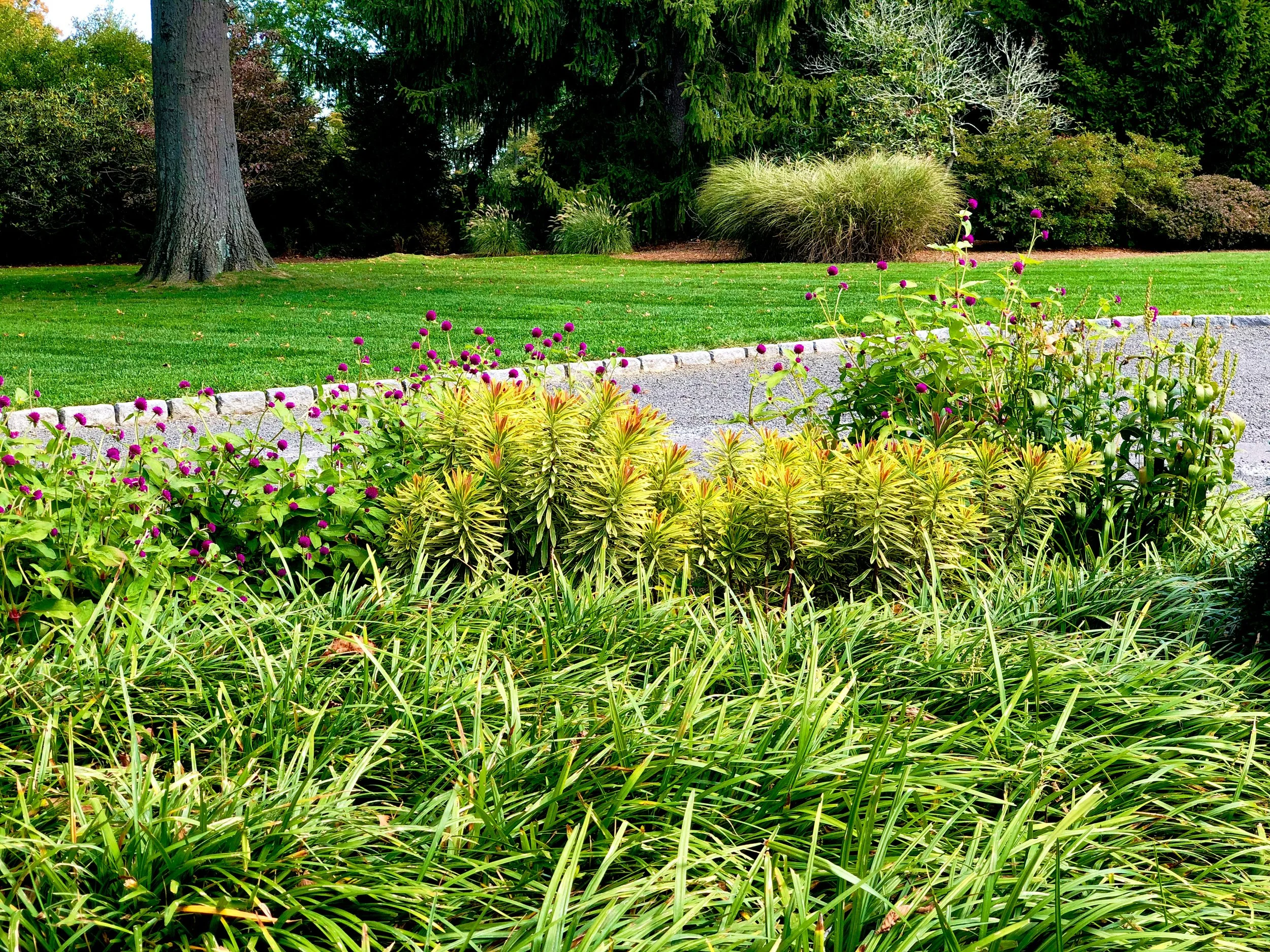 AfterlightImage 94.JPG