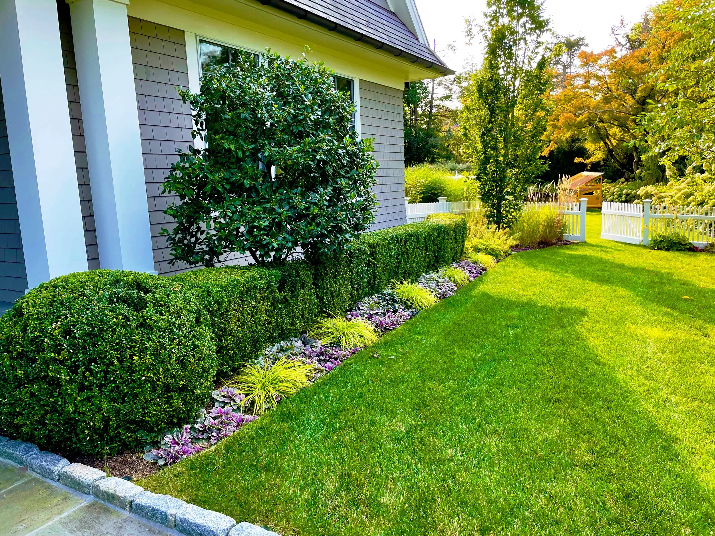 AfterlightImage 100.JPG