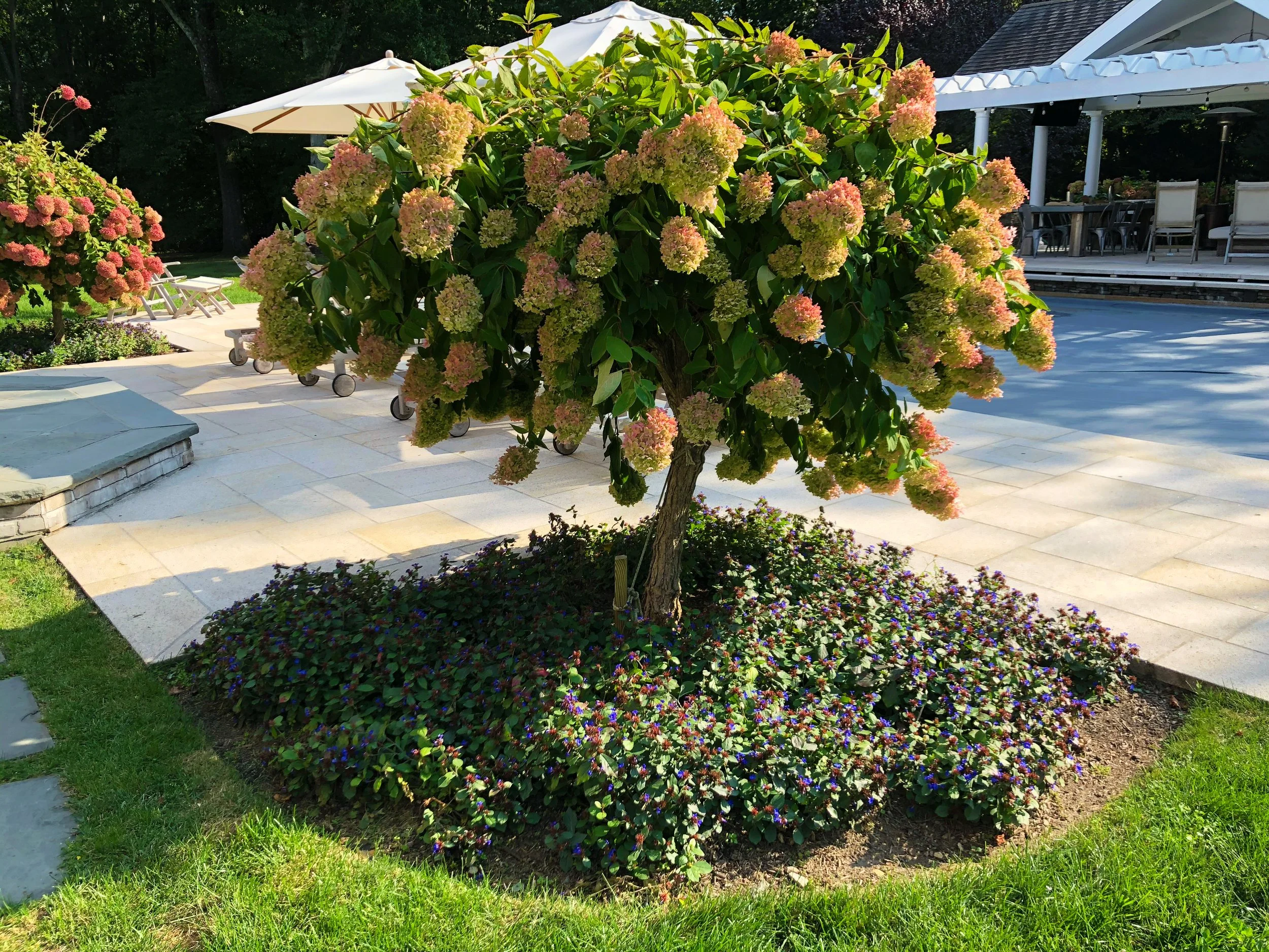 AfterlightImage 107.JPG