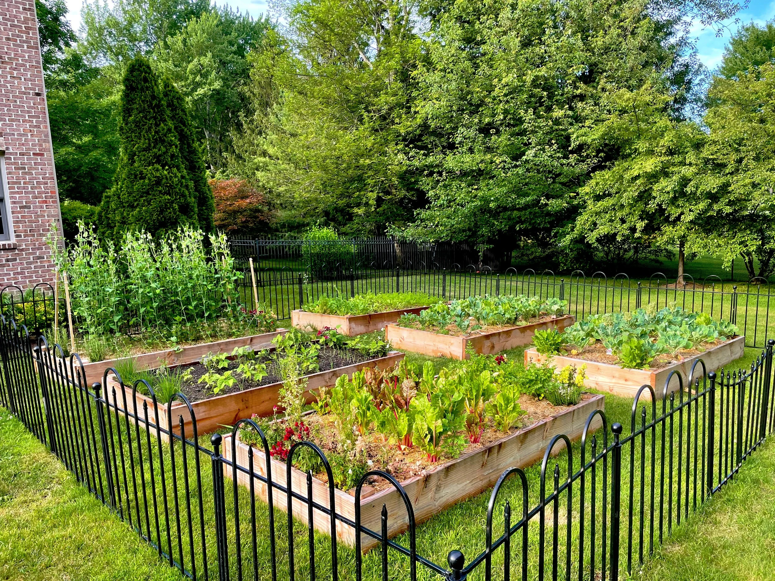 AfterlightImage 106.JPG