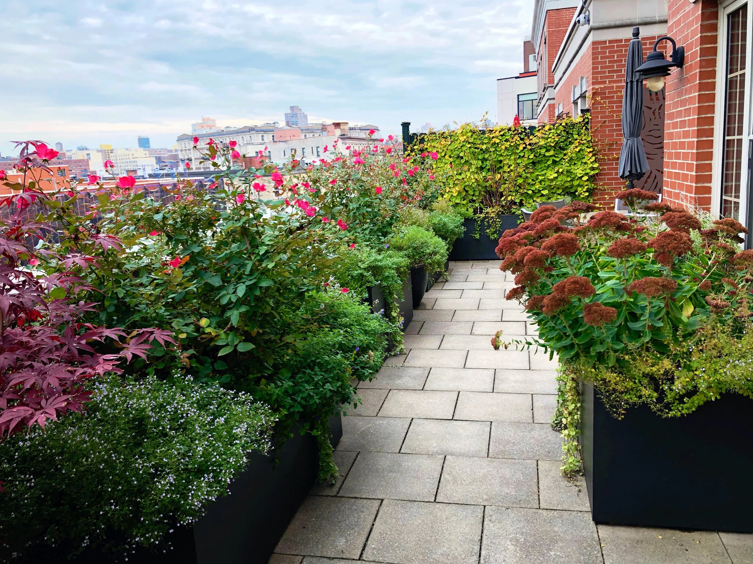 AfterlightImage 114.JPG