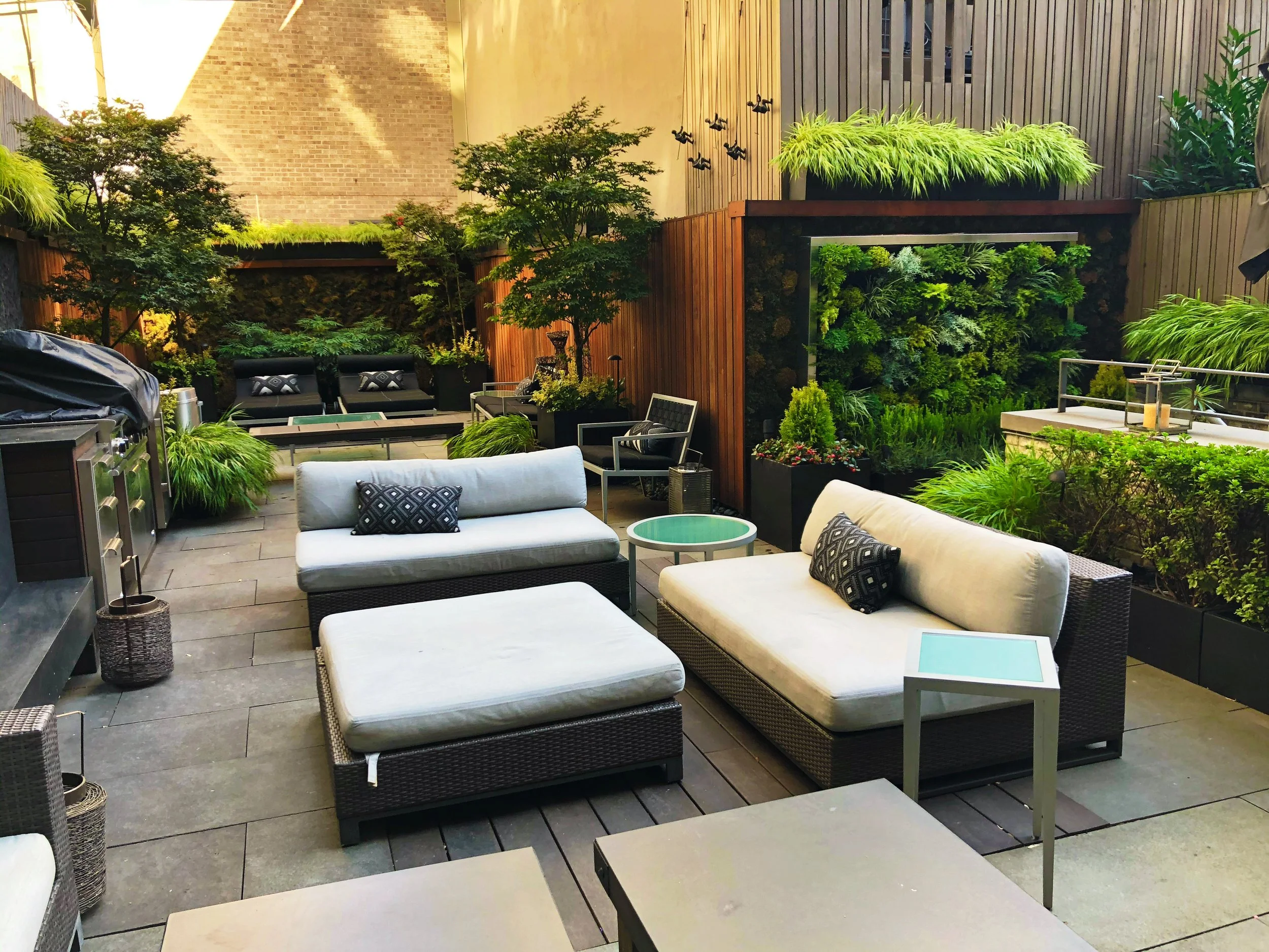 AfterlightImage 116.JPG