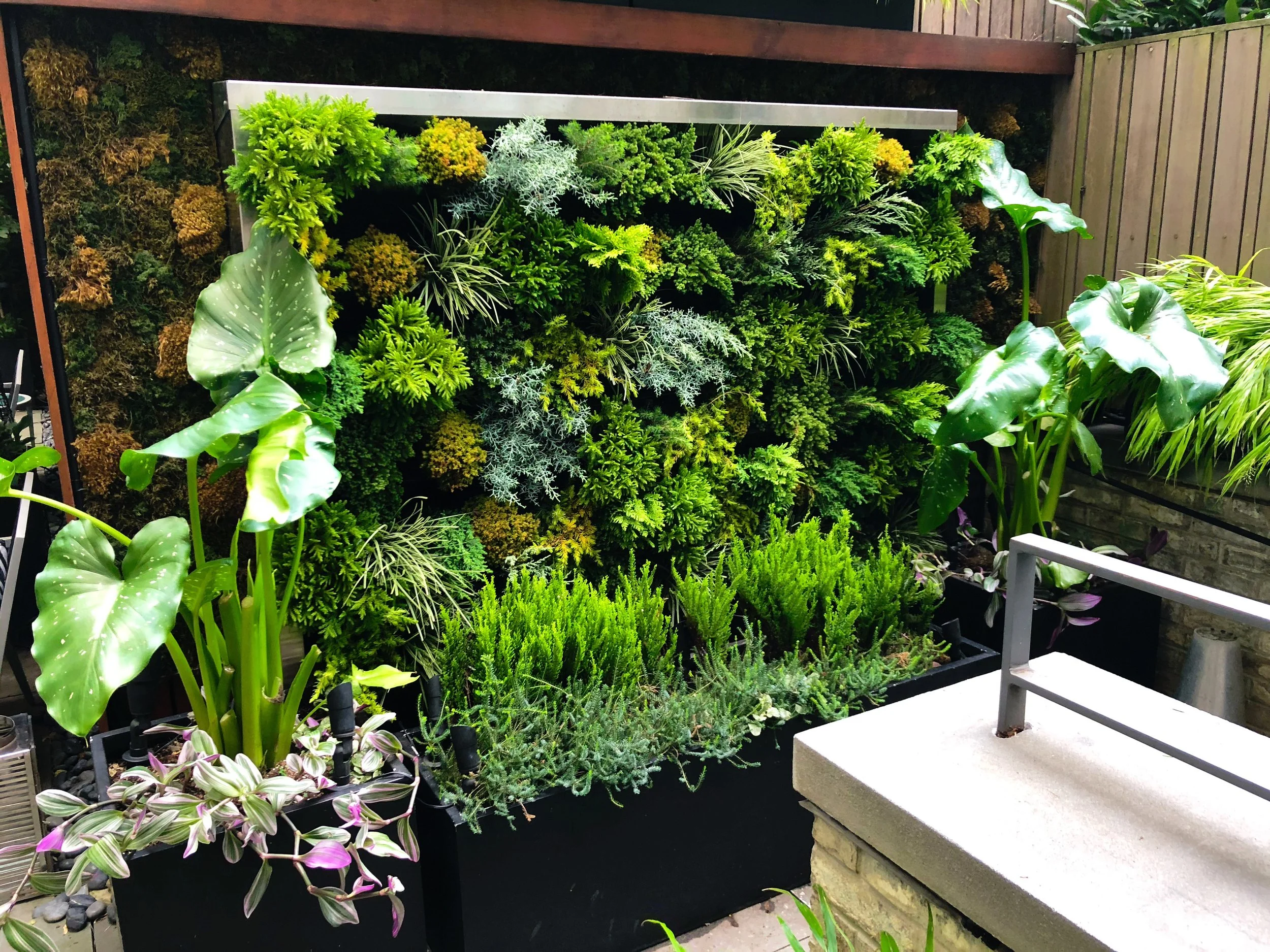 AfterlightImage 117.JPG