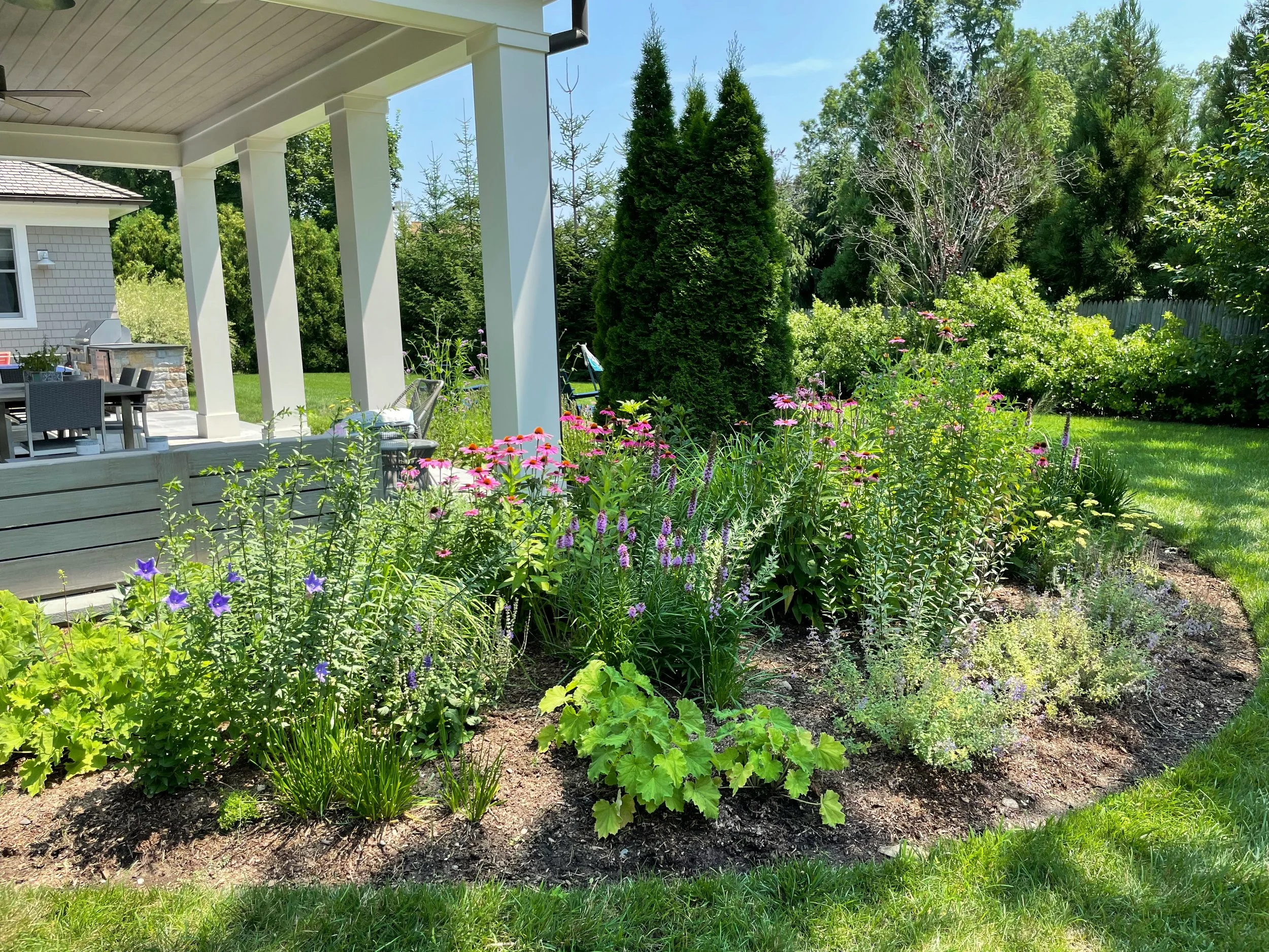 AfterlightImage 119.JPG